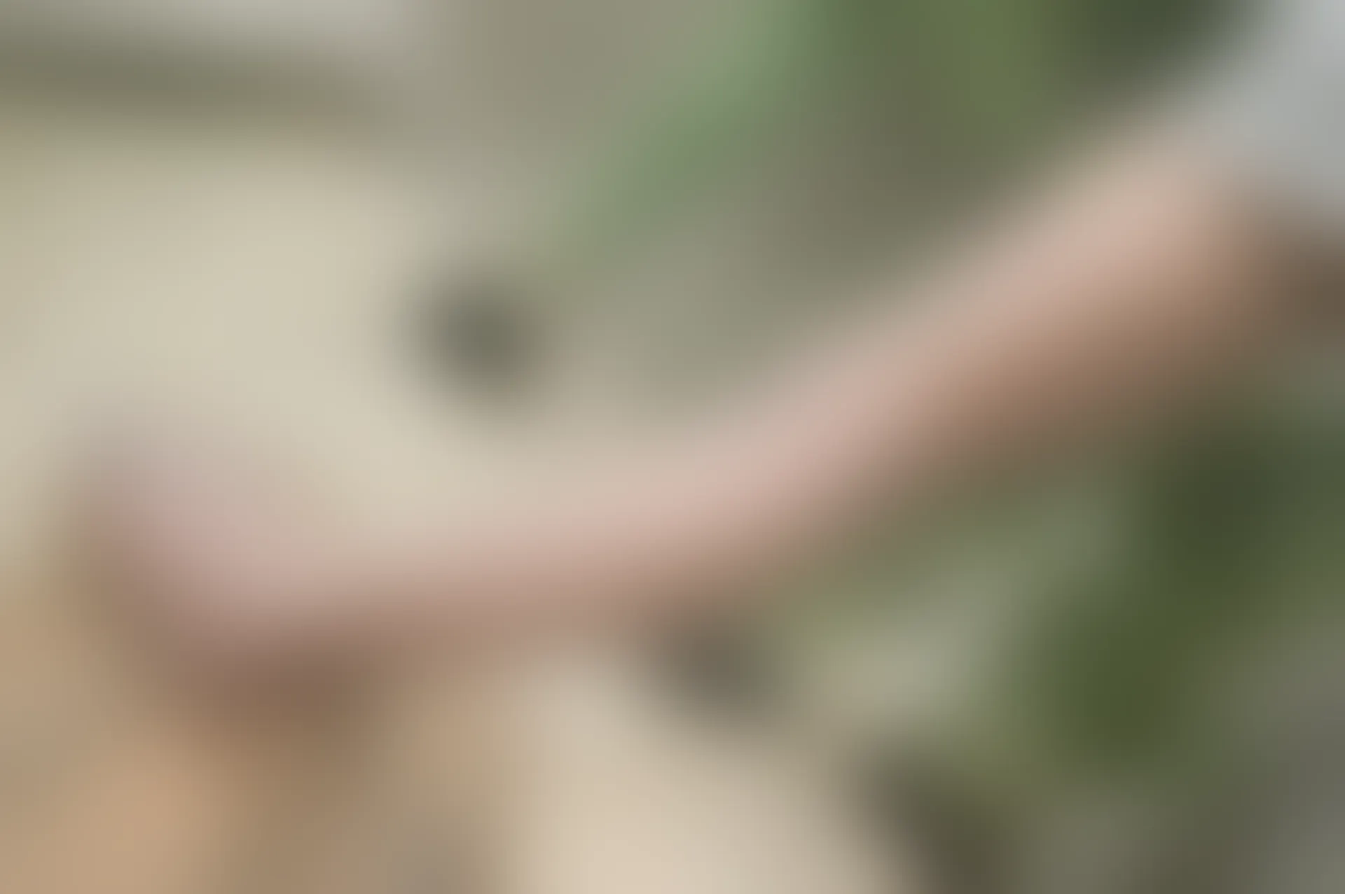 SSA丝社 超清写真 NO.103 丽萍 腿模丽萍，每个角度都有不一样的她[168P-1.26GB]