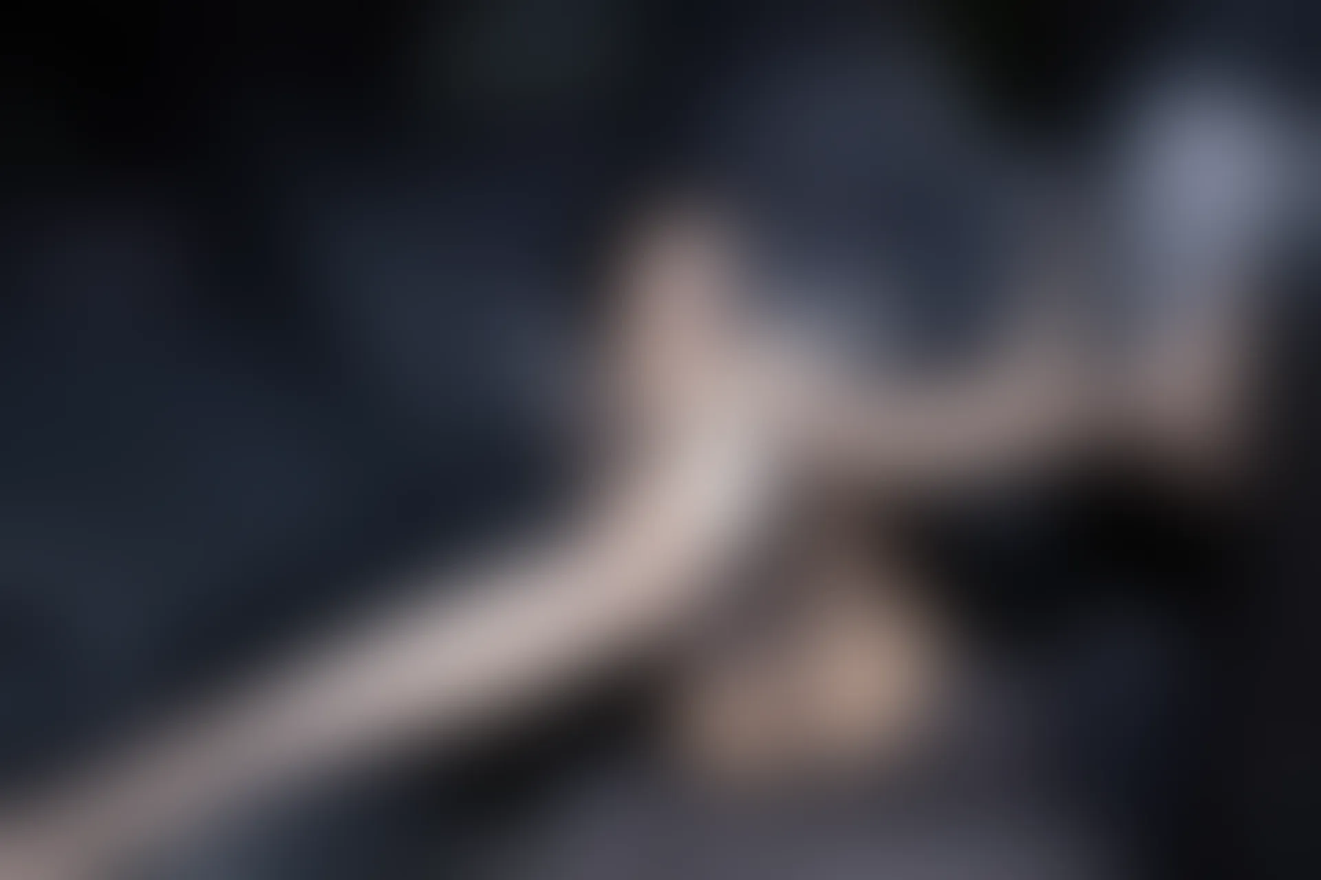 XIUREN秀人网 2024.01.25 NO.8017 郑颖姗Bev[82+1P／705MB]