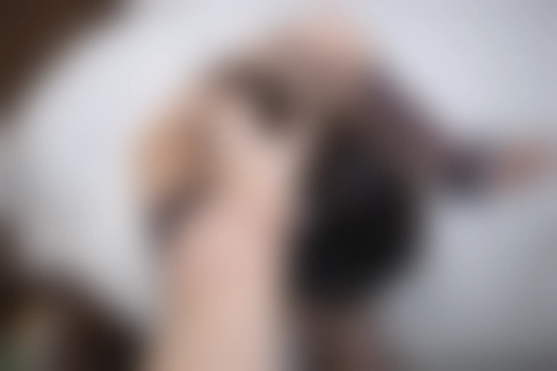 XIUREN秀人网 2024.01.29 NO.8034 唐安琪[81+1P／627MB]