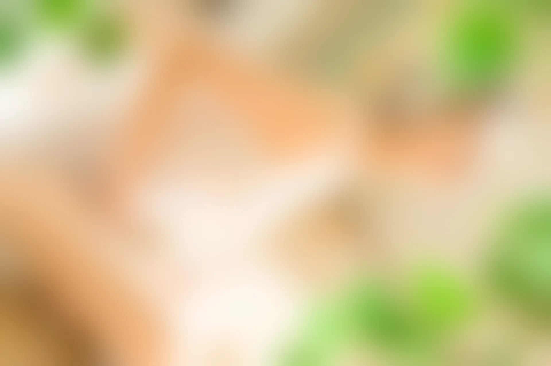 XiuRen秀人网 2016.11.21 No.641 草莓zz [64P-155M]