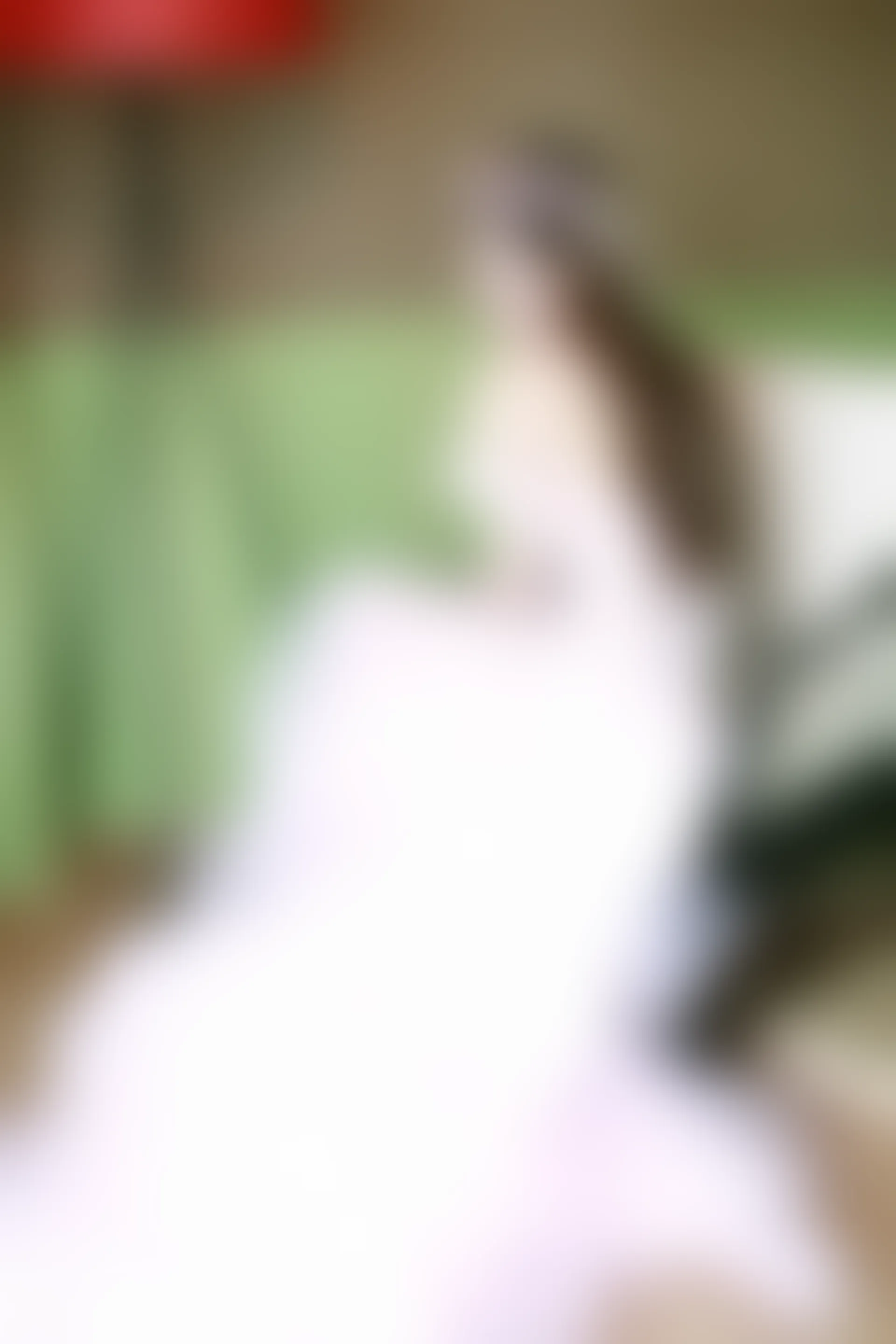 XiuRen秀人网 2015.08.12 No.376 高溜MilkCat[120+1P61M]