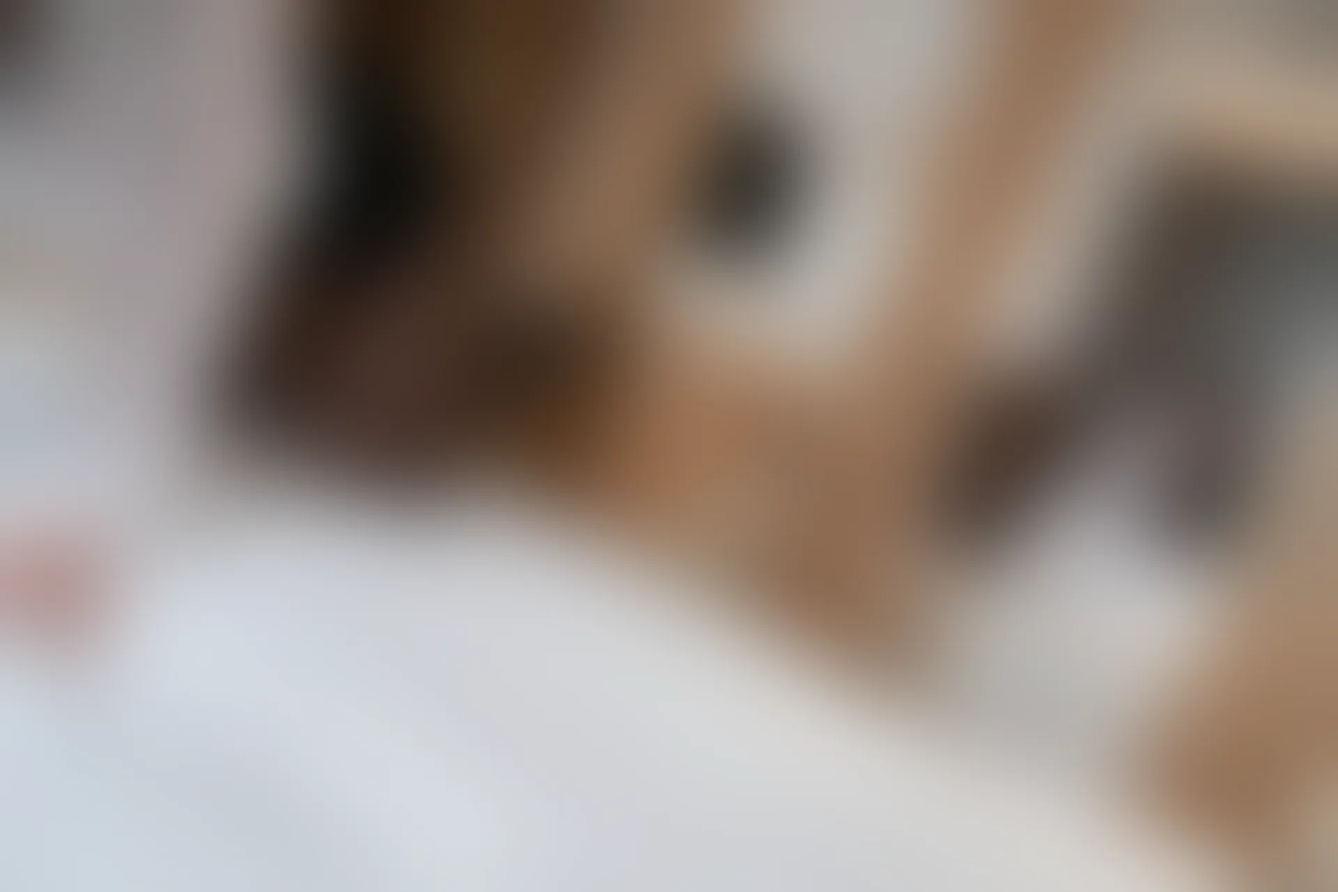 XiuRen秀人网 2022.01.13 No.4459 小蛮妖Yummy 御姐美腿[78+1P 748MB]