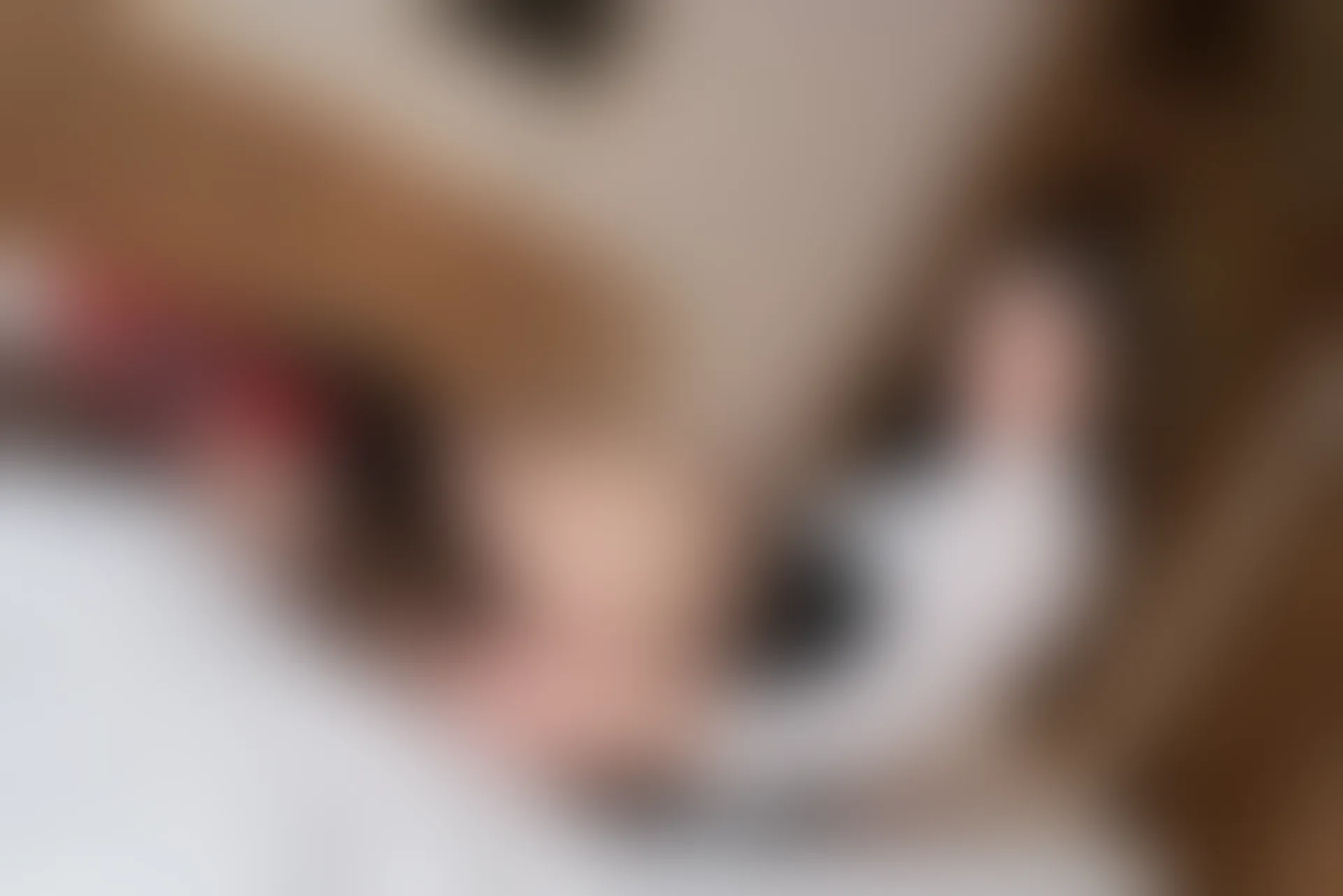 XiuRen秀人网 2022.01.13 No.4459 小蛮妖Yummy 御姐美腿[78+1P 748MB]