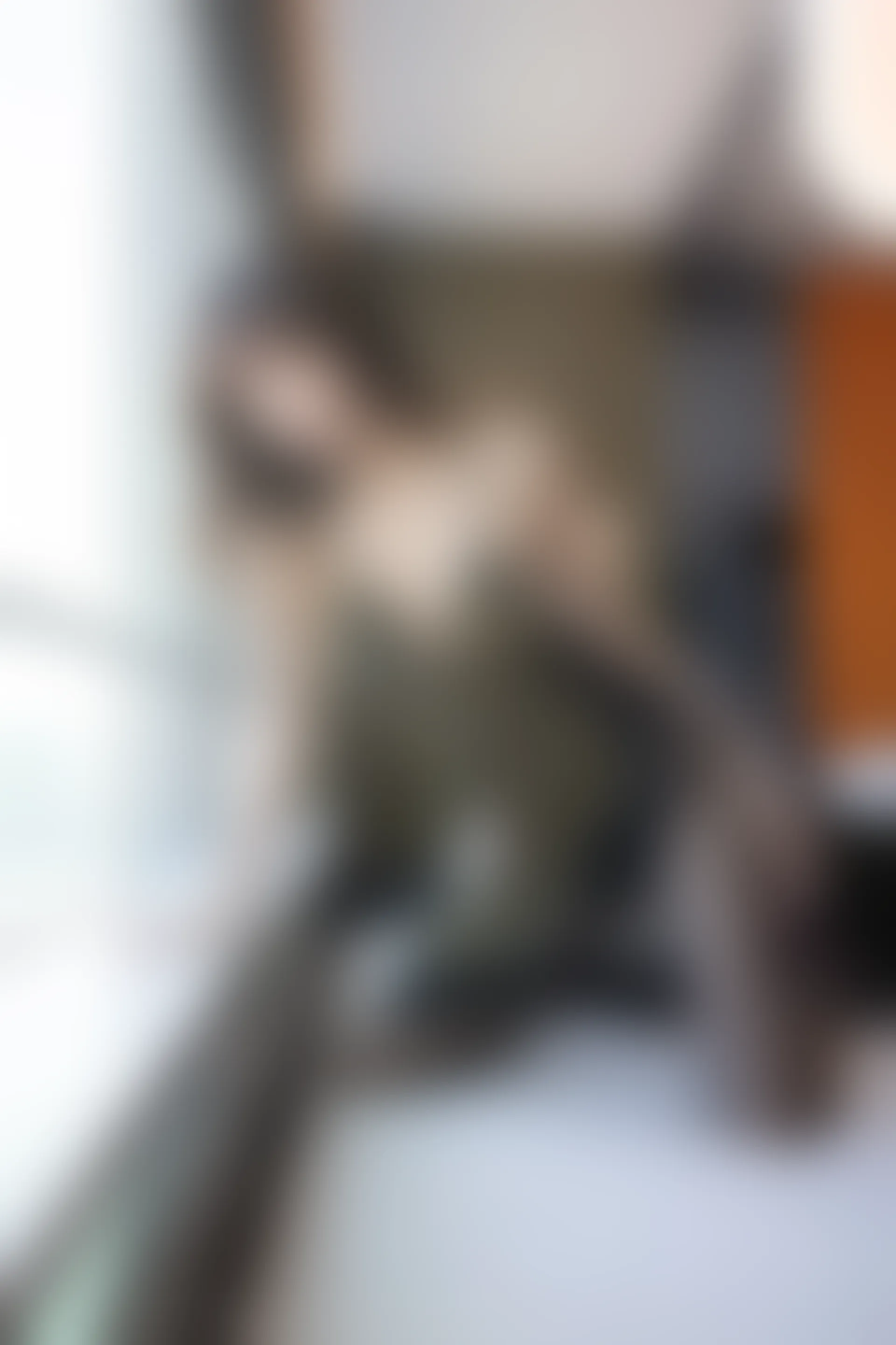 XiuRen秀人网 2021.10.21 No.4096 陆萱萱[83+1P／842MB]