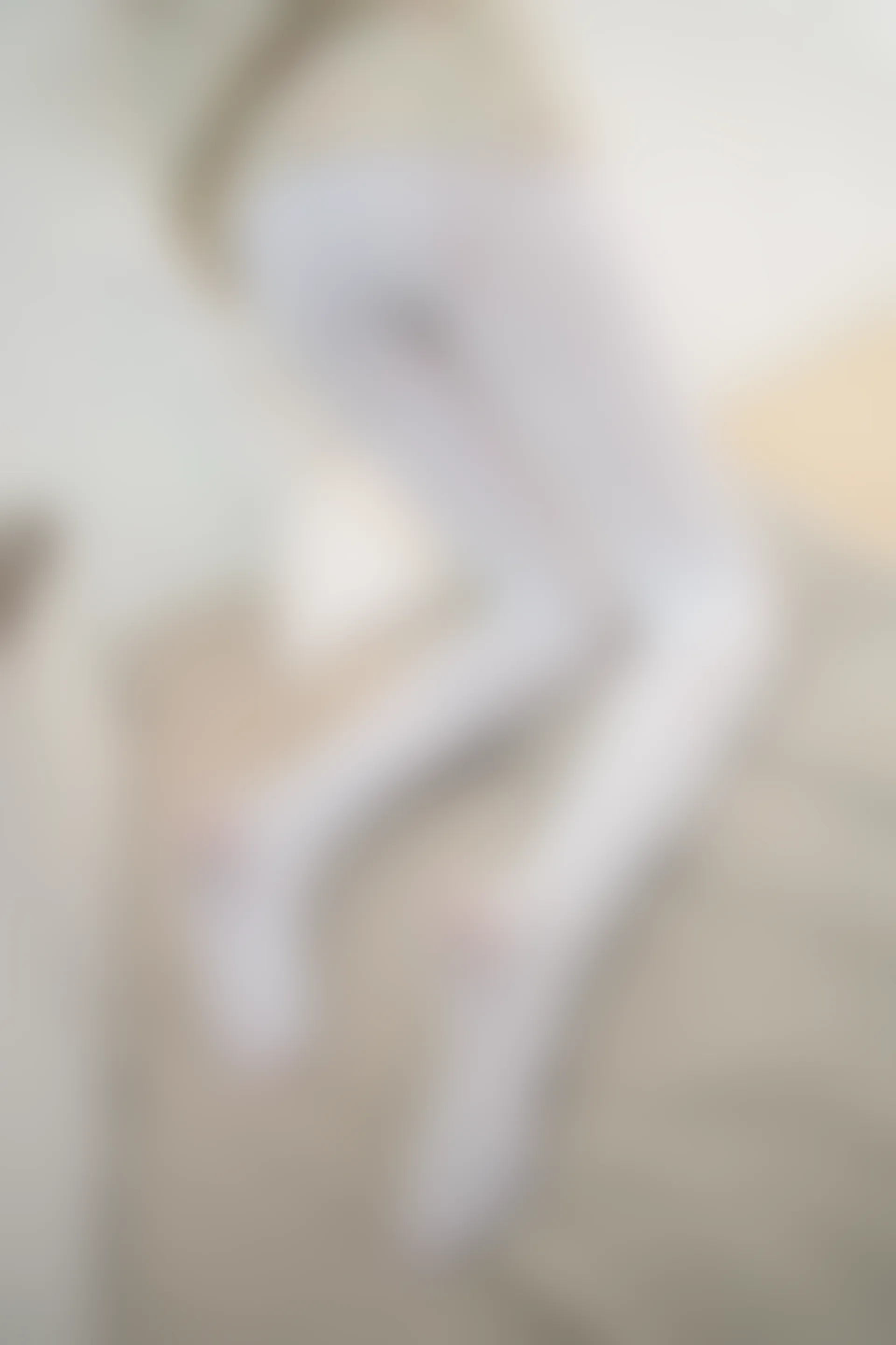 森萝财团 X-057 [83P1V-2.74G]Aika, 可爱, 森萝财团, 白丝, 美腿