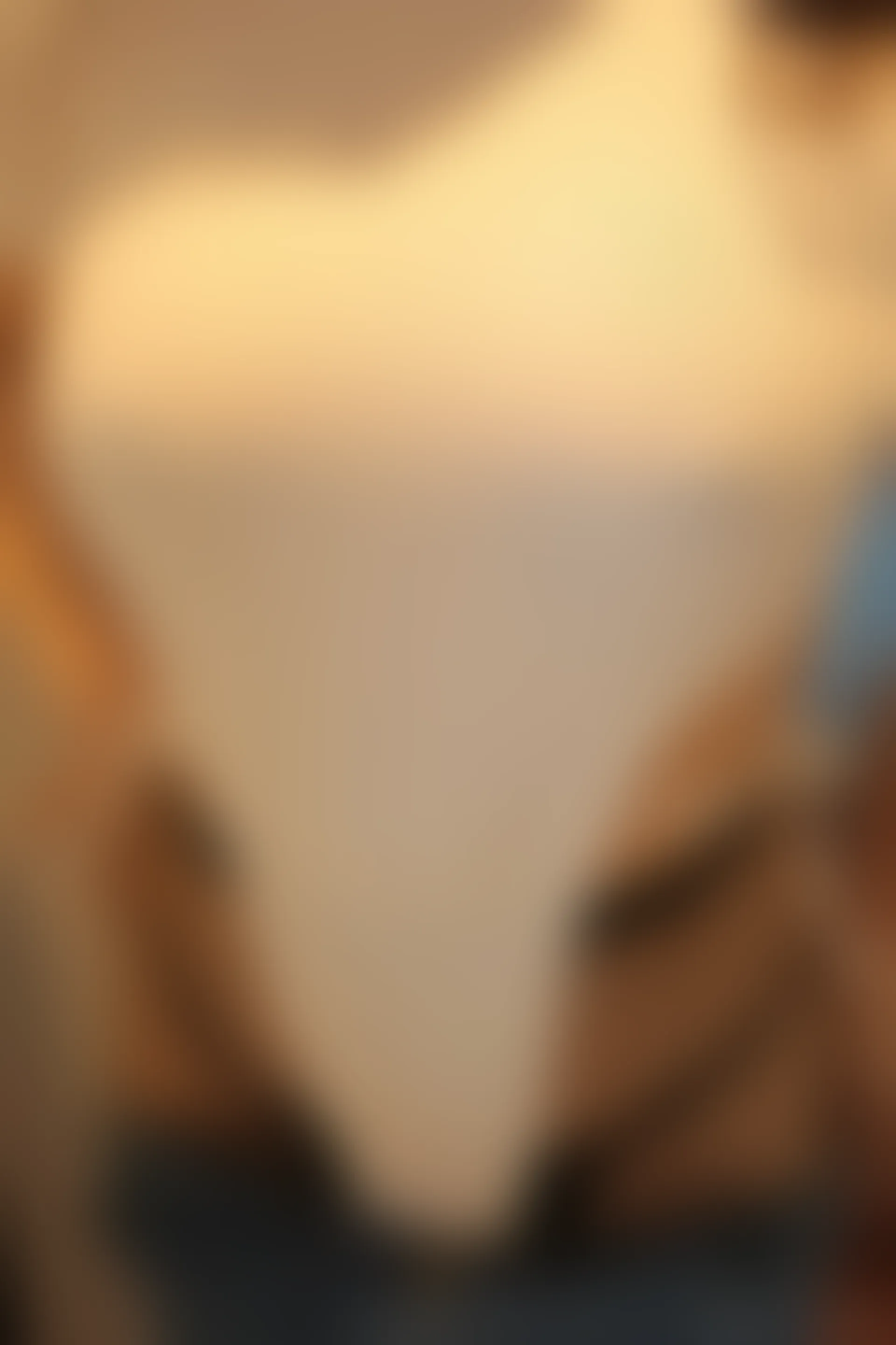 XiuRen秀人网 2022.03.17 No.4729 豆瓣酱 牛仔裤美腿[79+1P 827MB]