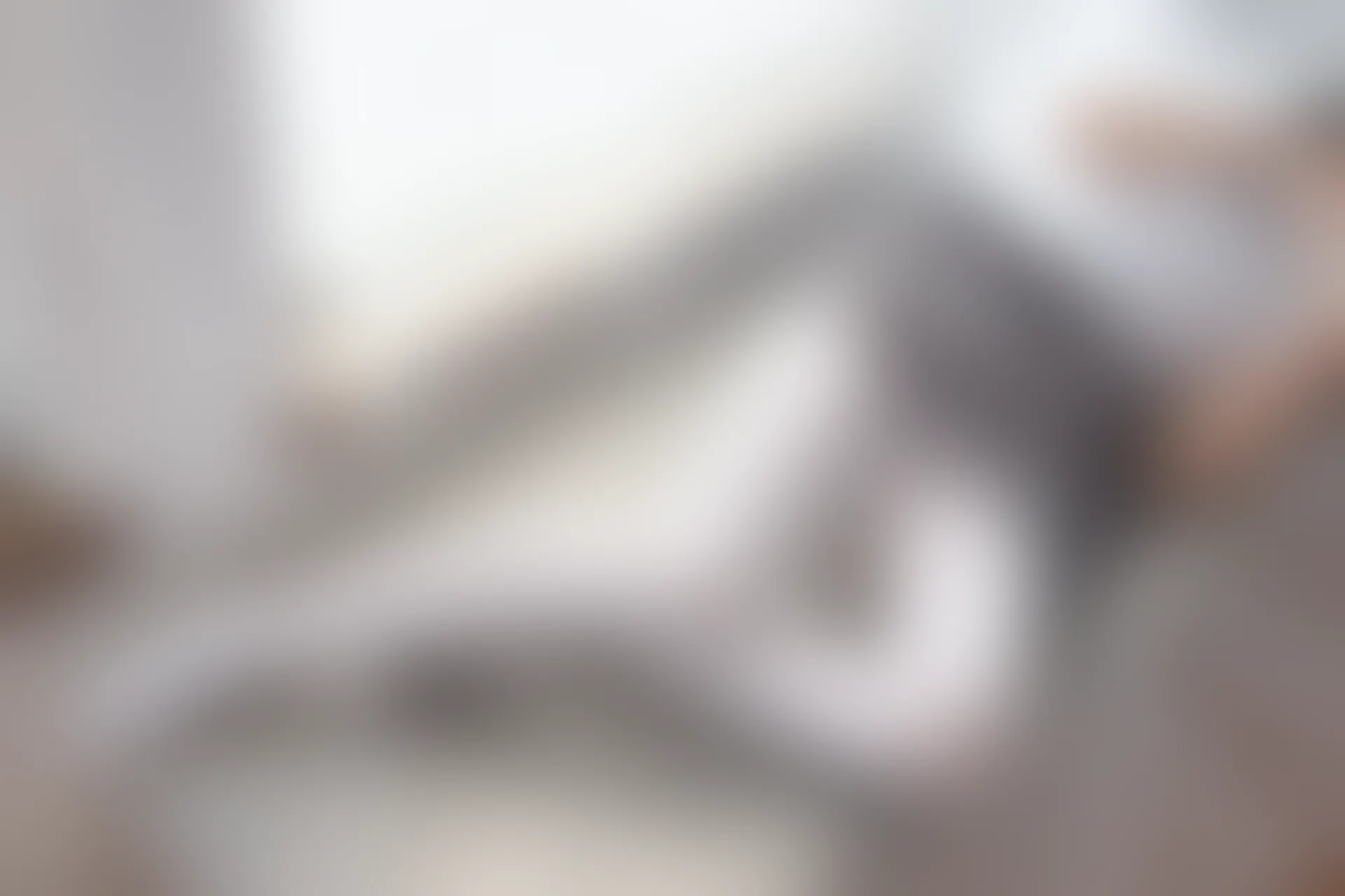 森萝财团 BETA-029 [182P-1.6G]学生装, 森萝财团, 白丝, 美腿