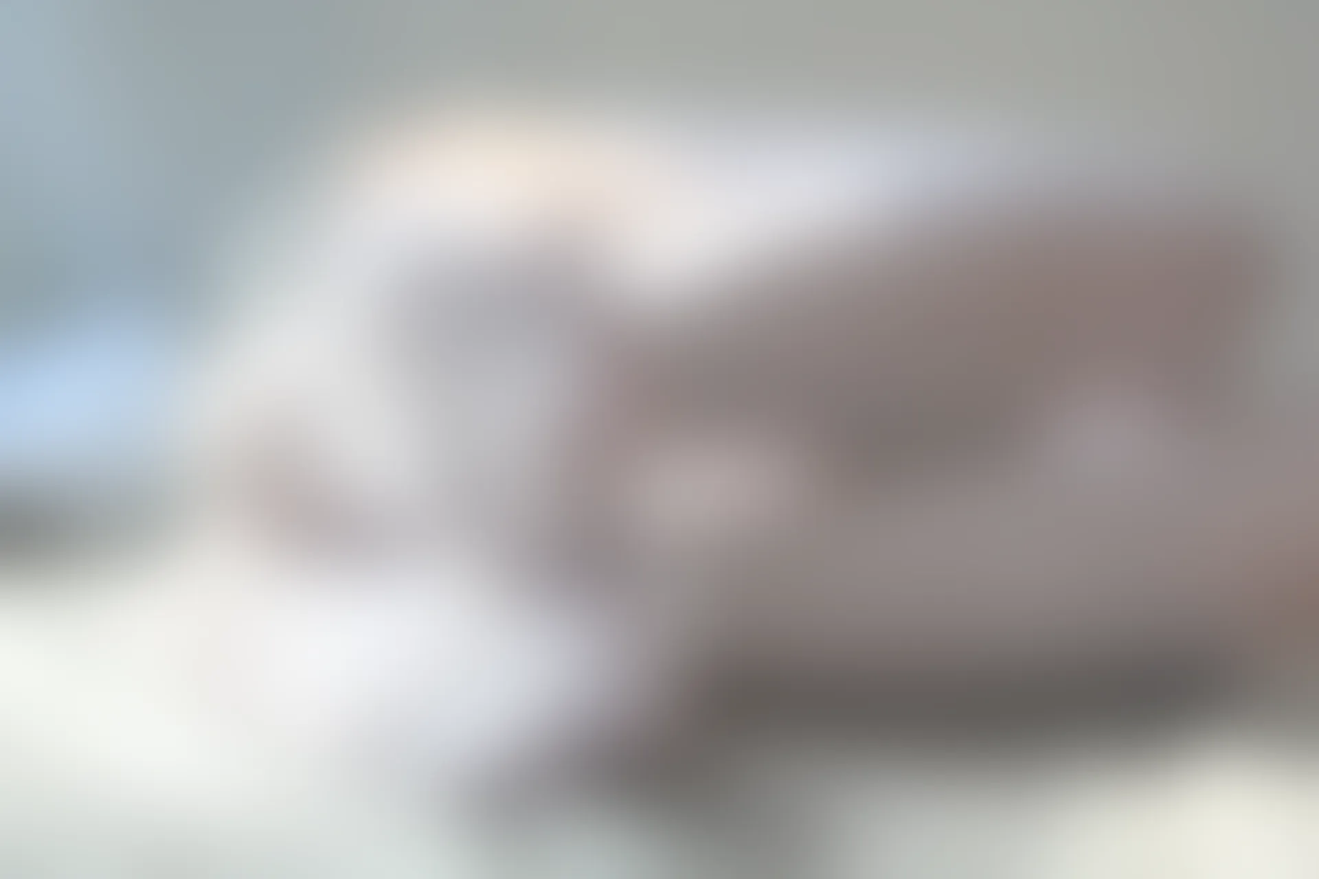 森萝财团 BETA-029 [182P-1.6G]学生装, 森萝财团, 白丝, 美腿