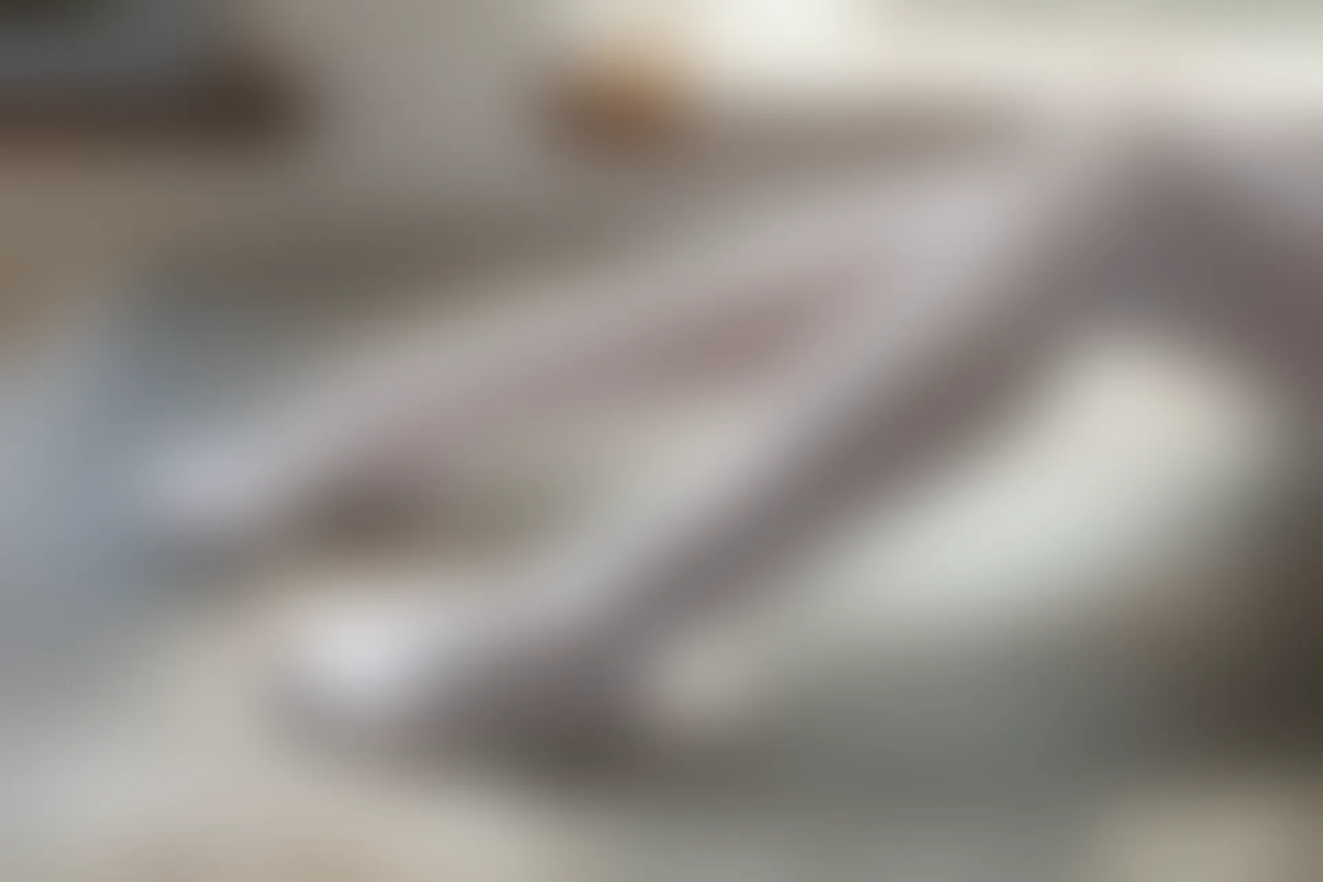 森萝财团 BETA-029 [182P-1.6G]学生装, 森萝财团, 白丝, 美腿