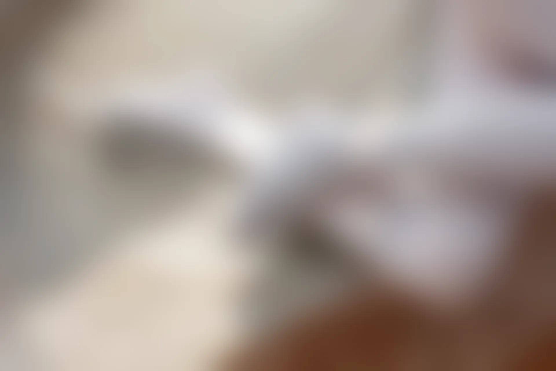 森萝财团 BETA-029 [182P-1.6G]学生装, 森萝财团, 白丝, 美腿