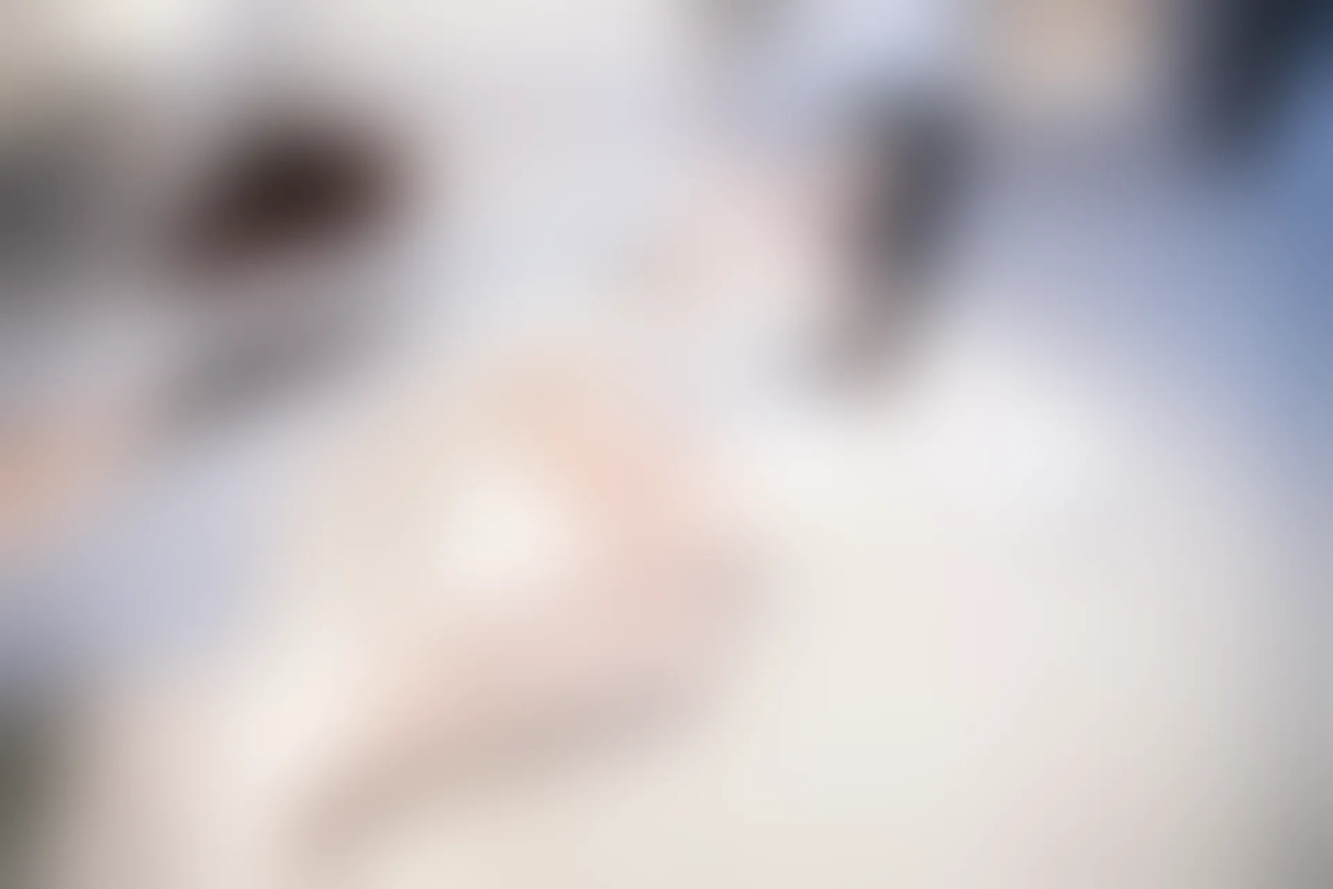XIUREN秀人网 2024.01.15 NO.7960 安琪Yee[64+1P／547MB]