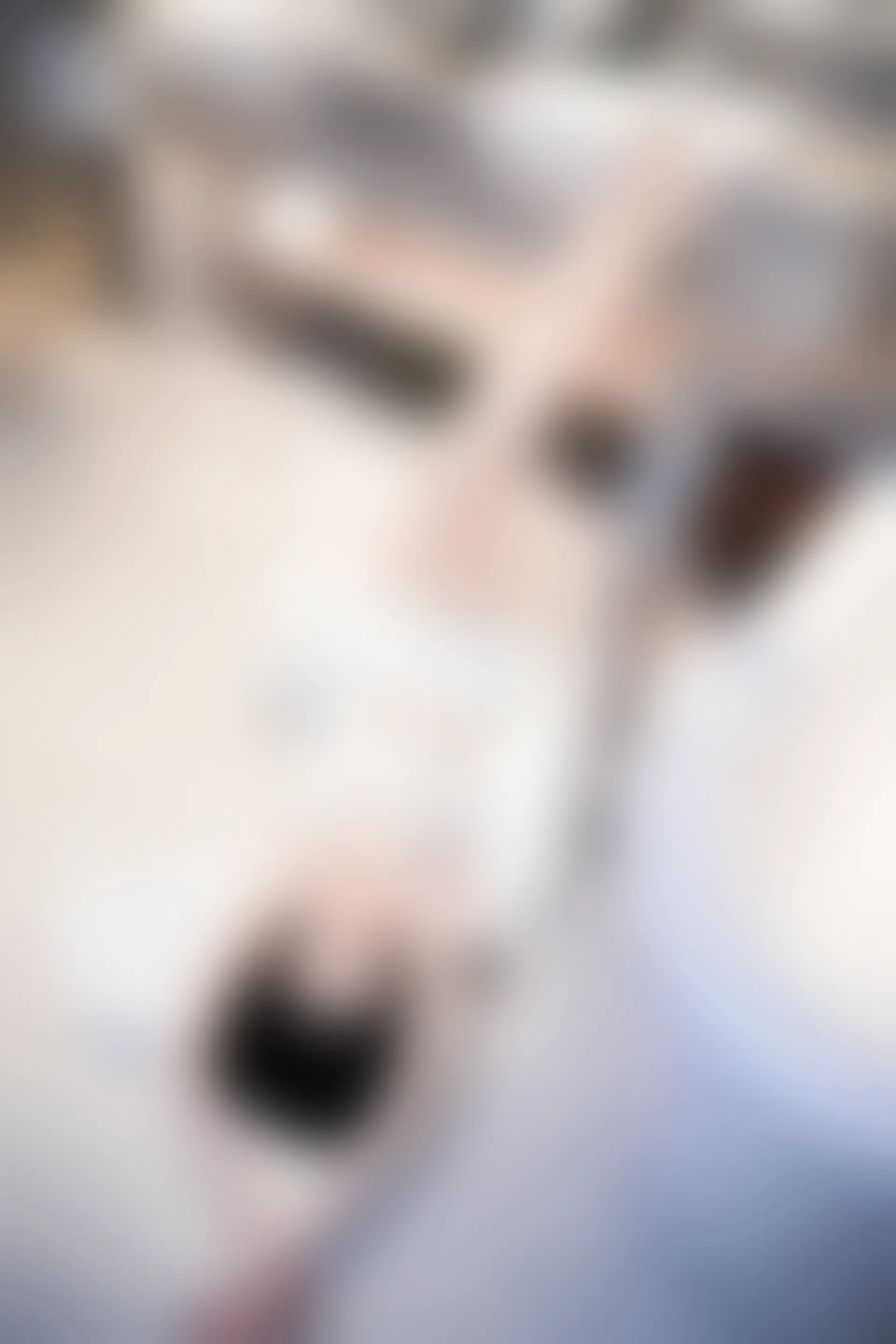 XIUREN秀人网 2024.01.15 NO.7960 安琪Yee[64+1P／547MB]