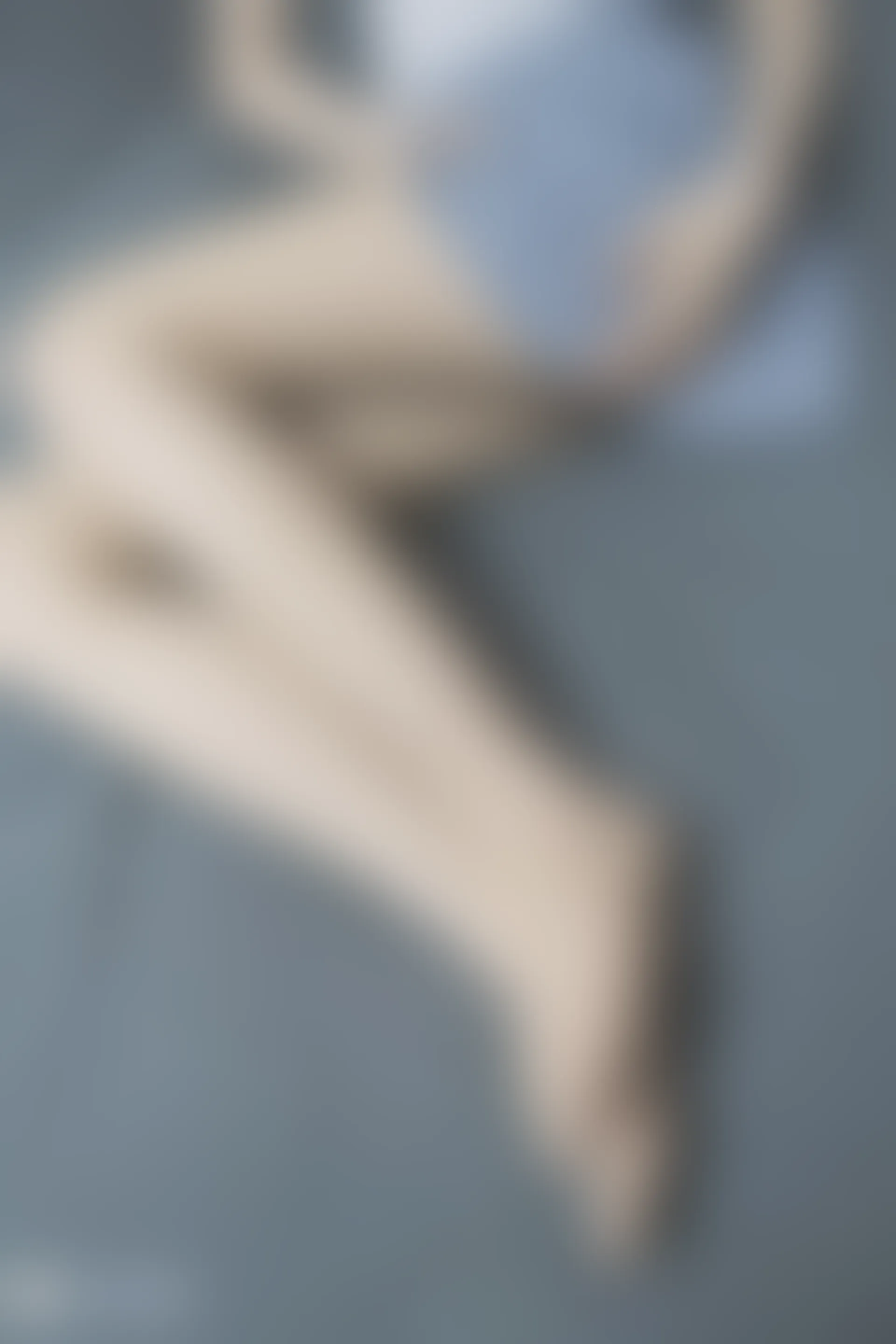 C12.003 紧致肉丝 [39P-82MB]