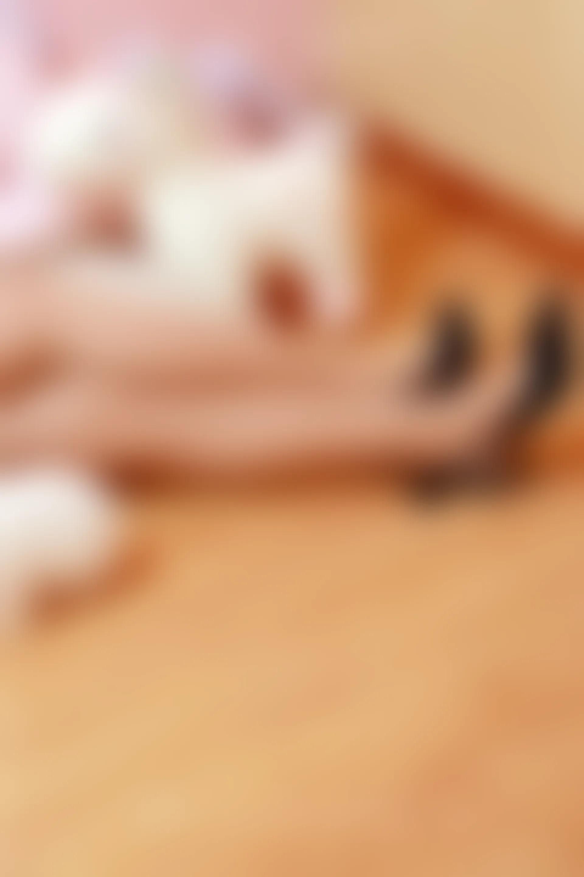 初夏女神 NO.065 依依 家教工装搭配高跟鞋[120P+1V／6.24GB]