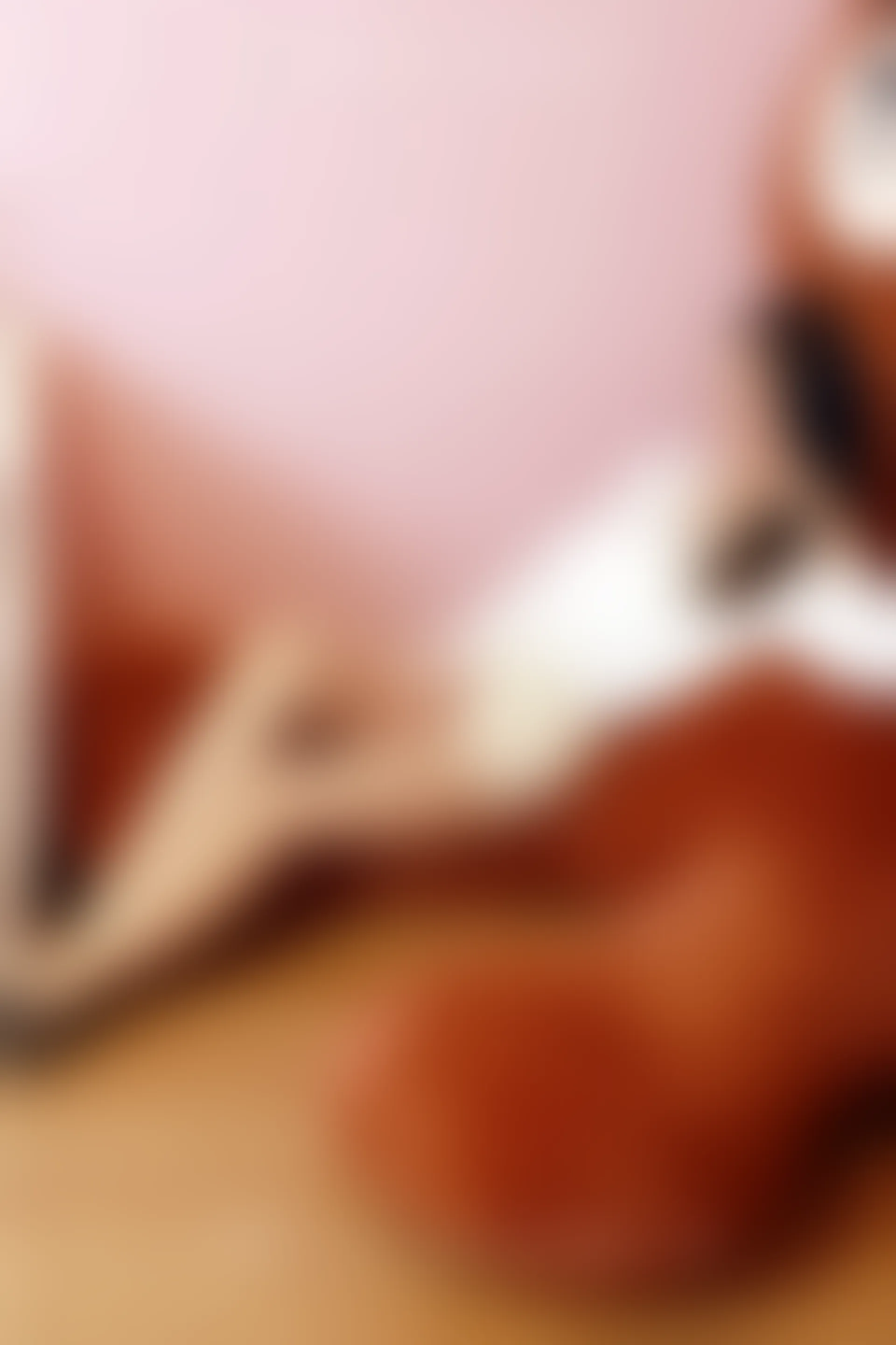 初夏女神 NO.065 依依 家教工装搭配高跟鞋[120P+1V／6.24GB]