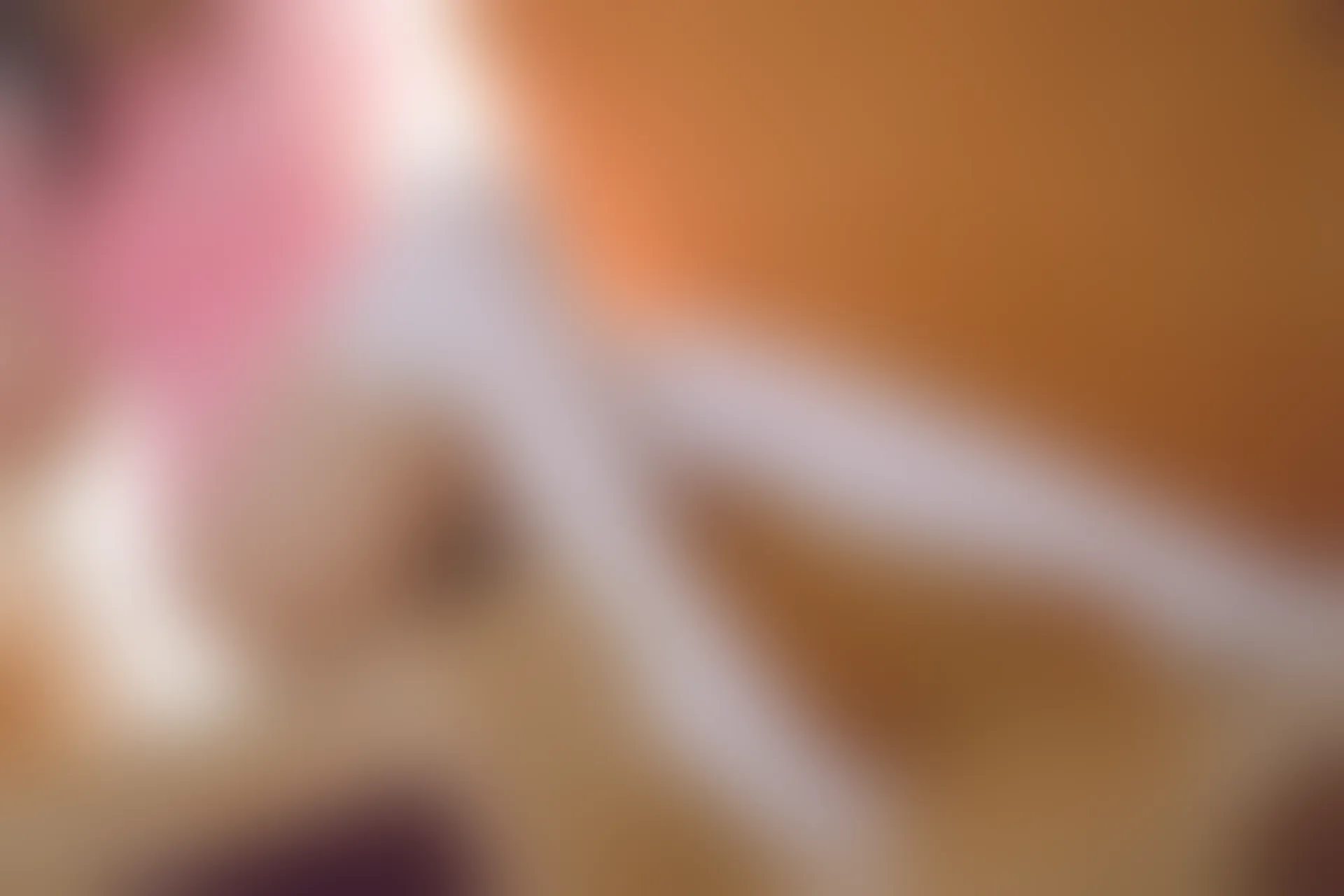 C04.007 你可能得了喜欢我的病 [42P-373MB]