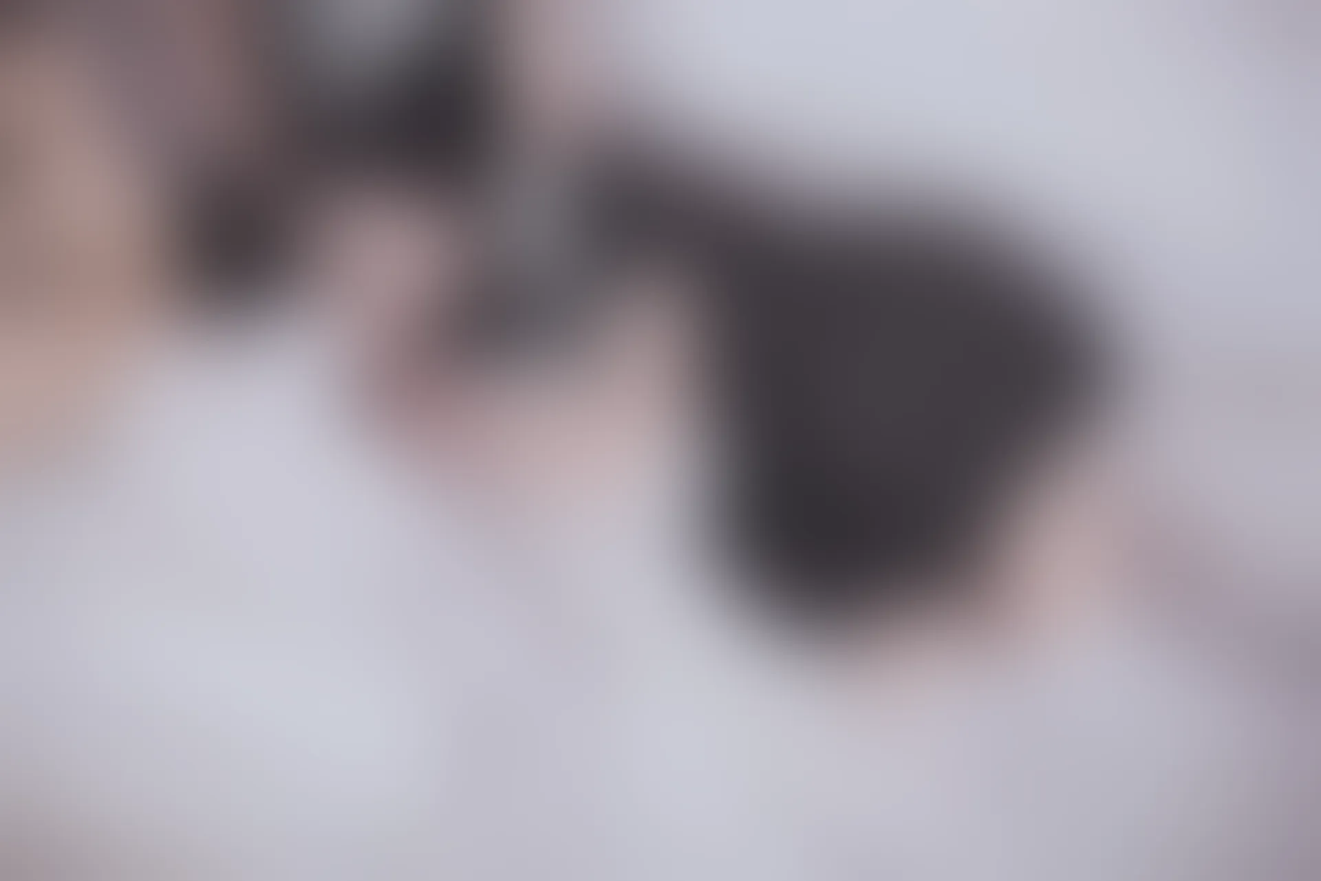 SSA丝社 超清写真 NO.028 青青姐妹 姐妹花的JK情[85P-928MB]