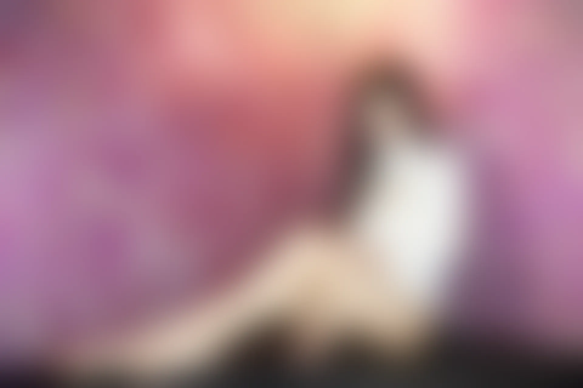 XiuRen秀人网 2015.07.22 No.358 张美荧[66+1P77M]