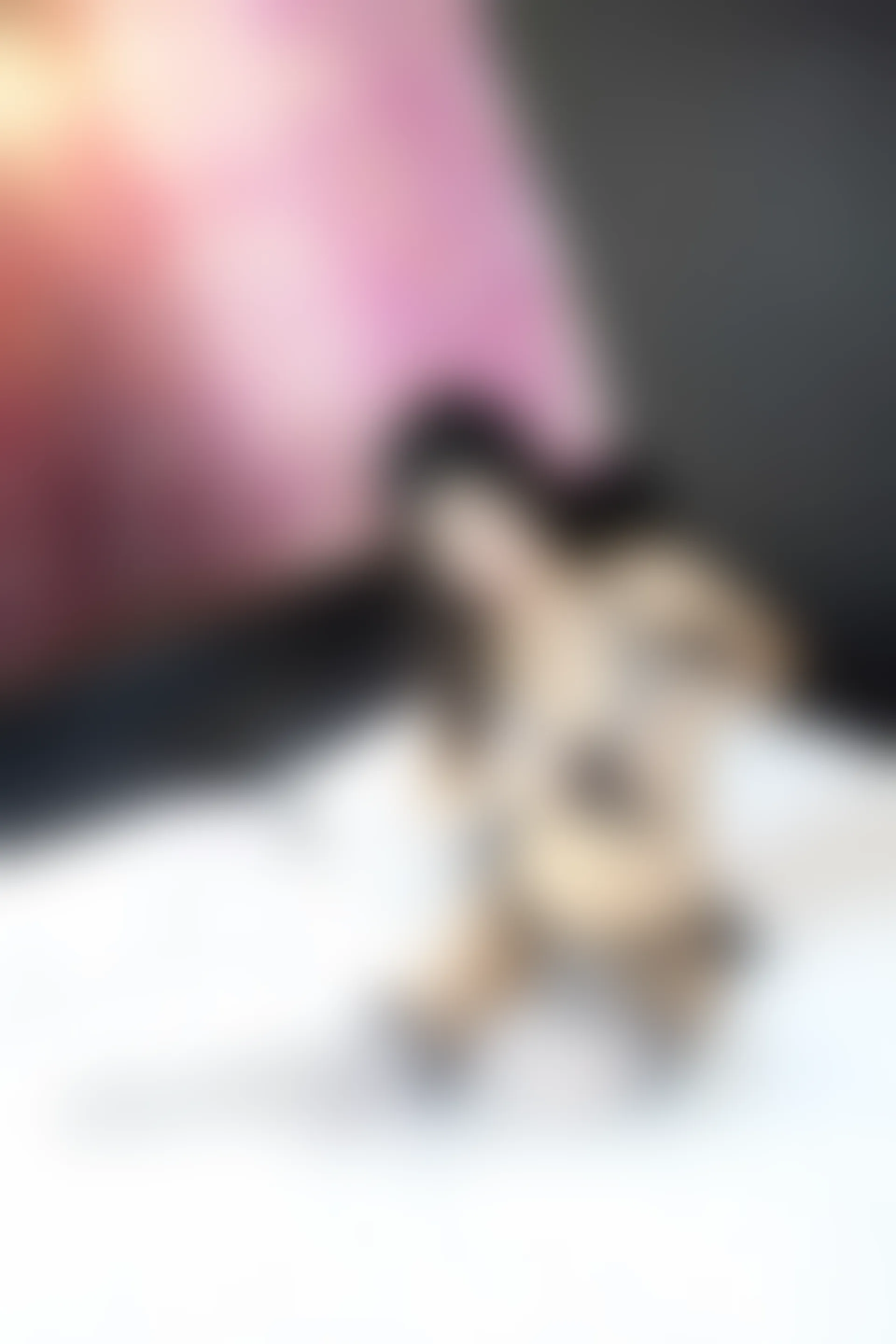 XiuRen秀人网 2015.07.22 No.358 张美荧[66+1P77M]