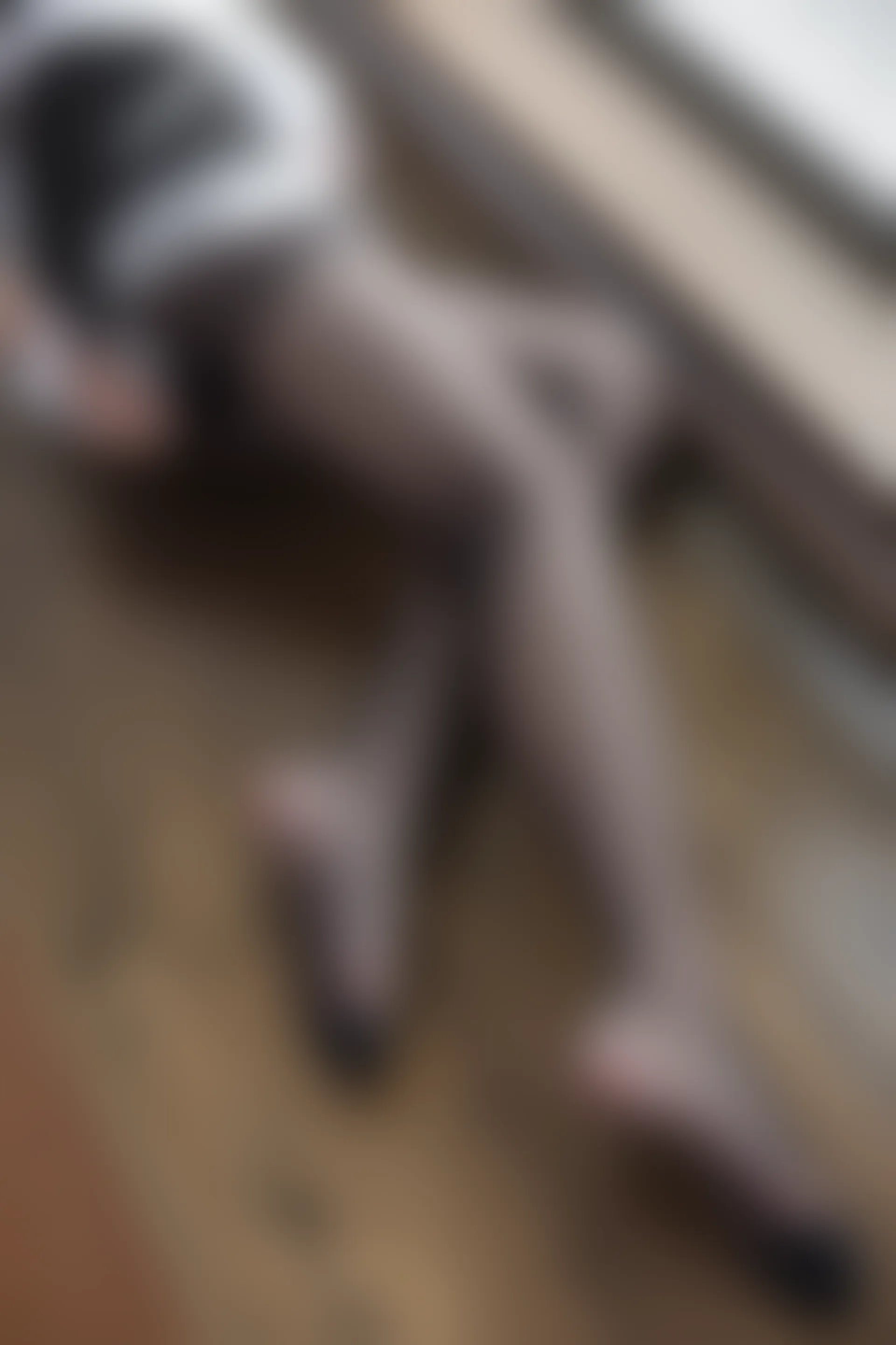 森萝财团 X-041 [100P1V-1.95G]女仆装, 森萝财团, 美腿, 黑丝