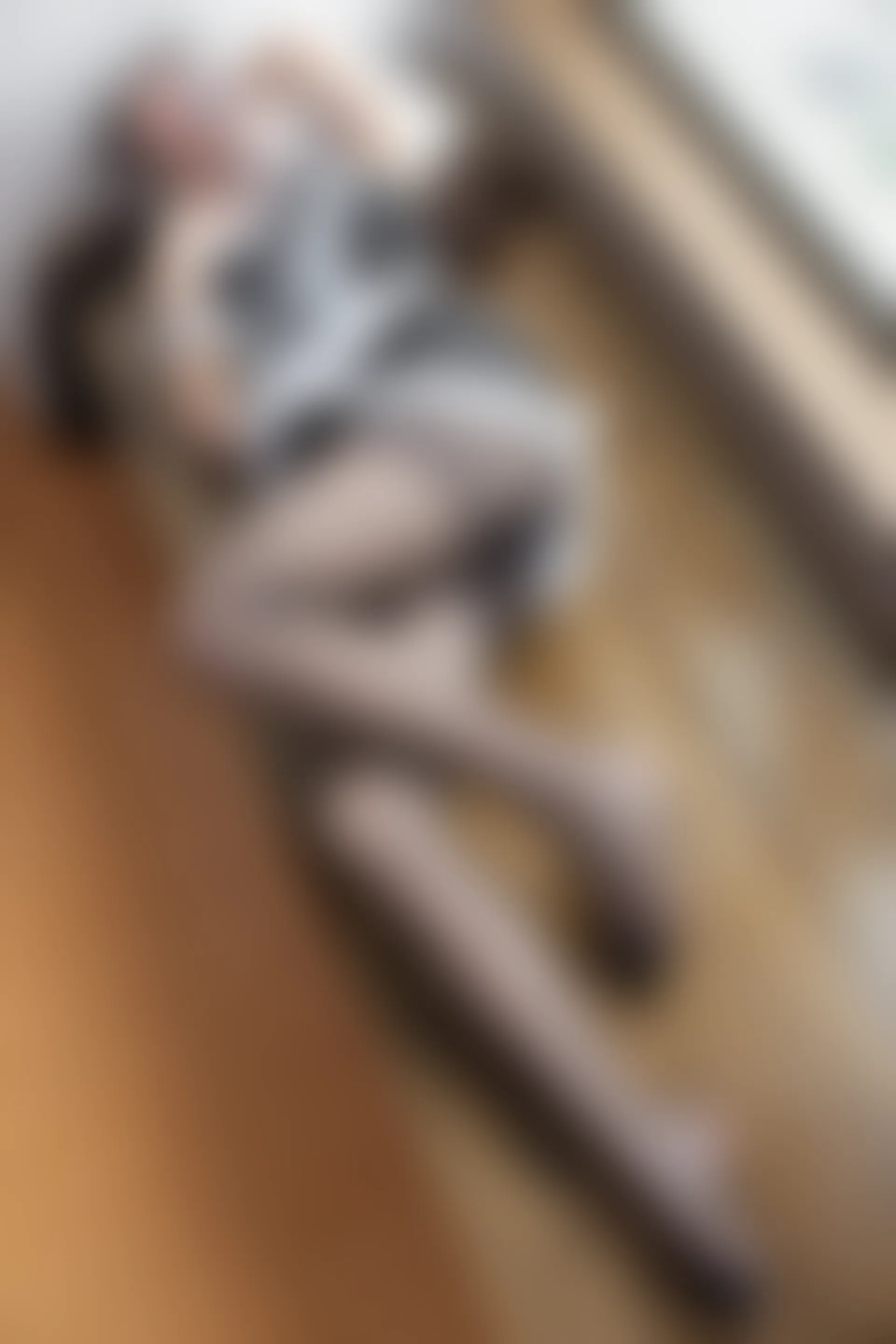 森萝财团 X-041 [100P1V-1.95G]女仆装, 森萝财团, 美腿, 黑丝