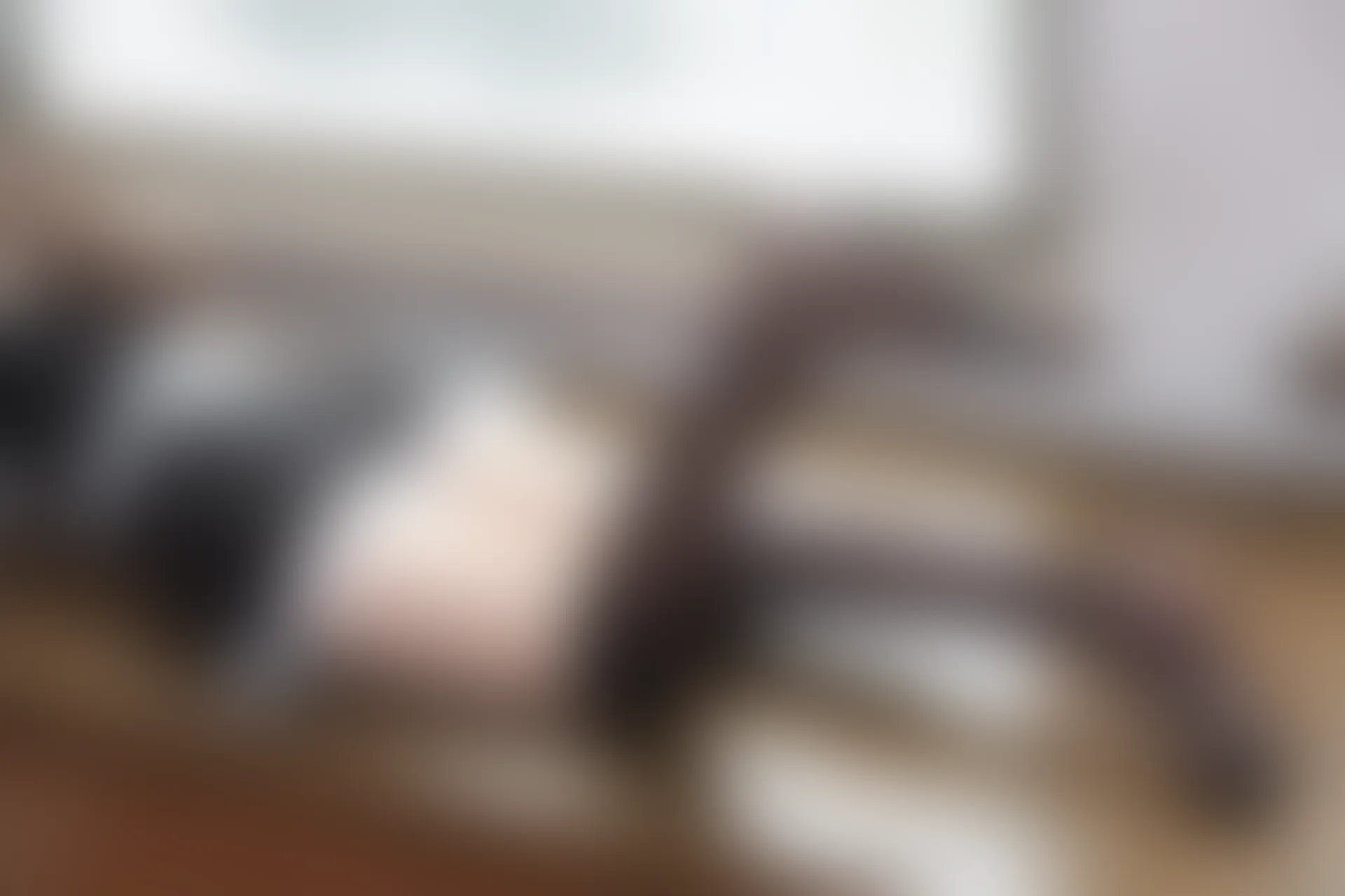森萝财团 X-041 [100P1V-1.95G]女仆装, 森萝财团, 美腿, 黑丝