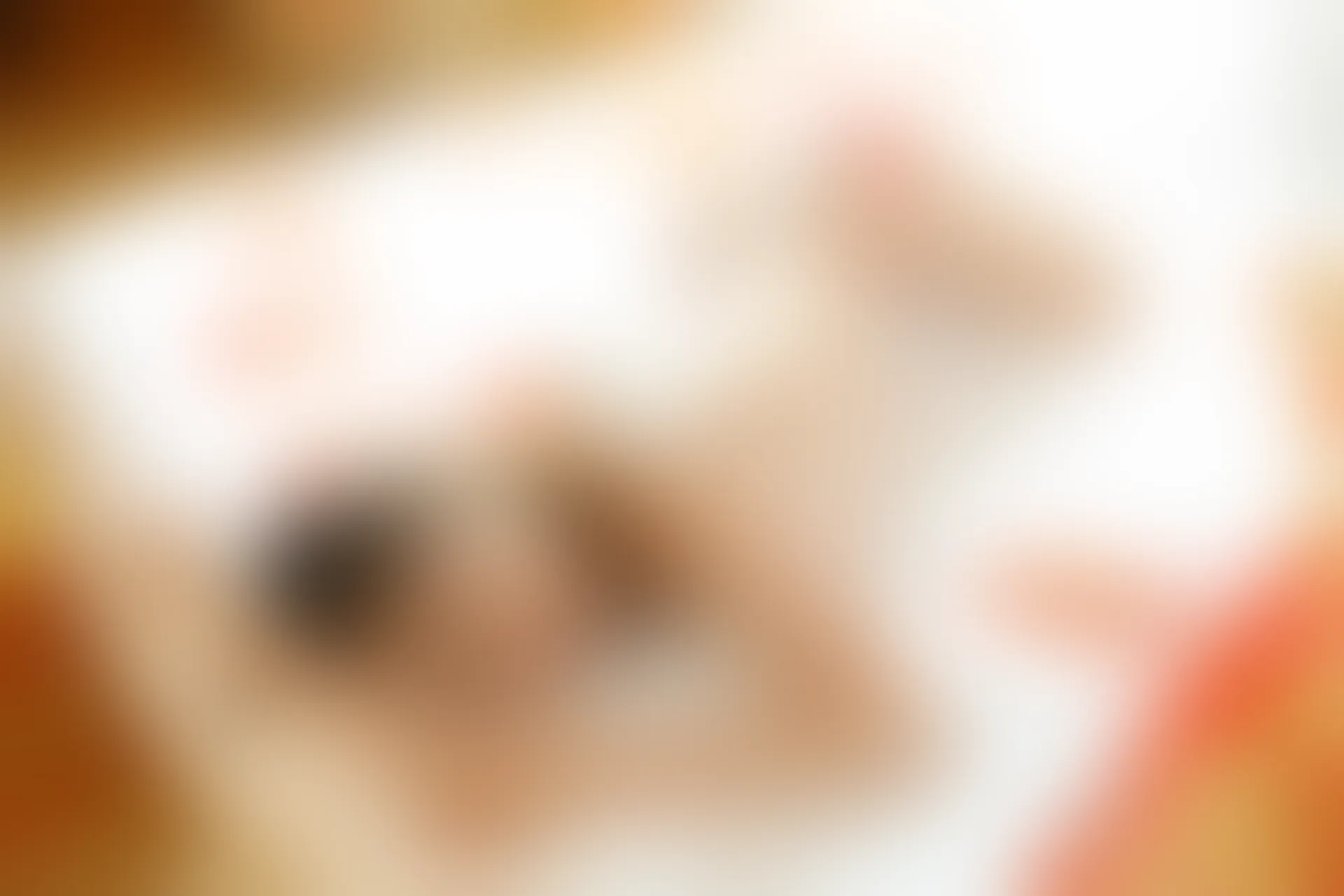 XiuRen秀人网 2015.02.26 No.301 丽莉Lily丶[59P293MB]