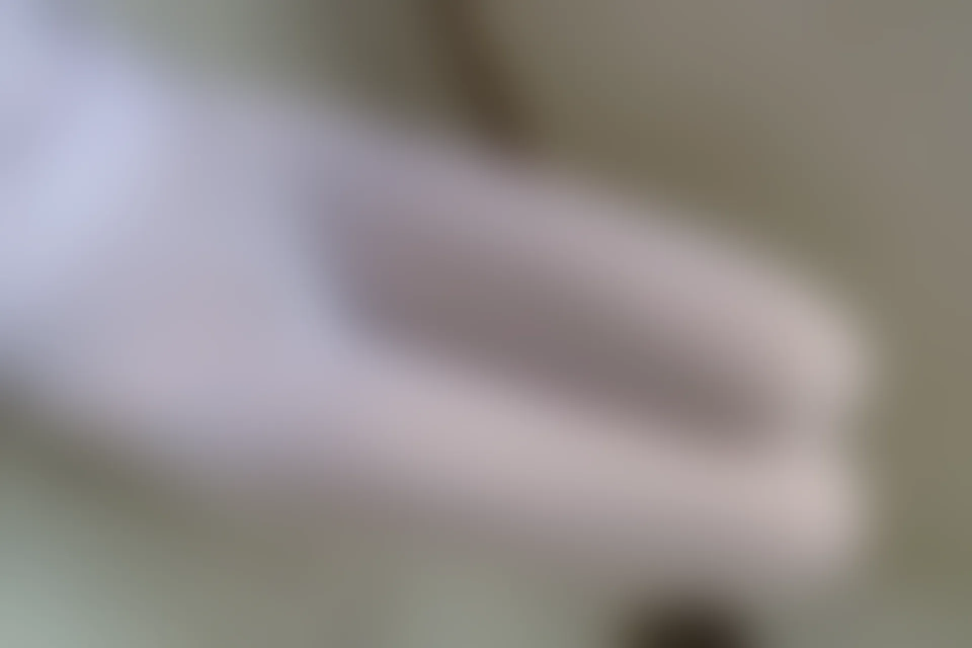 森萝财团 内部VIP系列 雏菊-01 双马尾白丝JK制服 [124P1V-4.78GB]