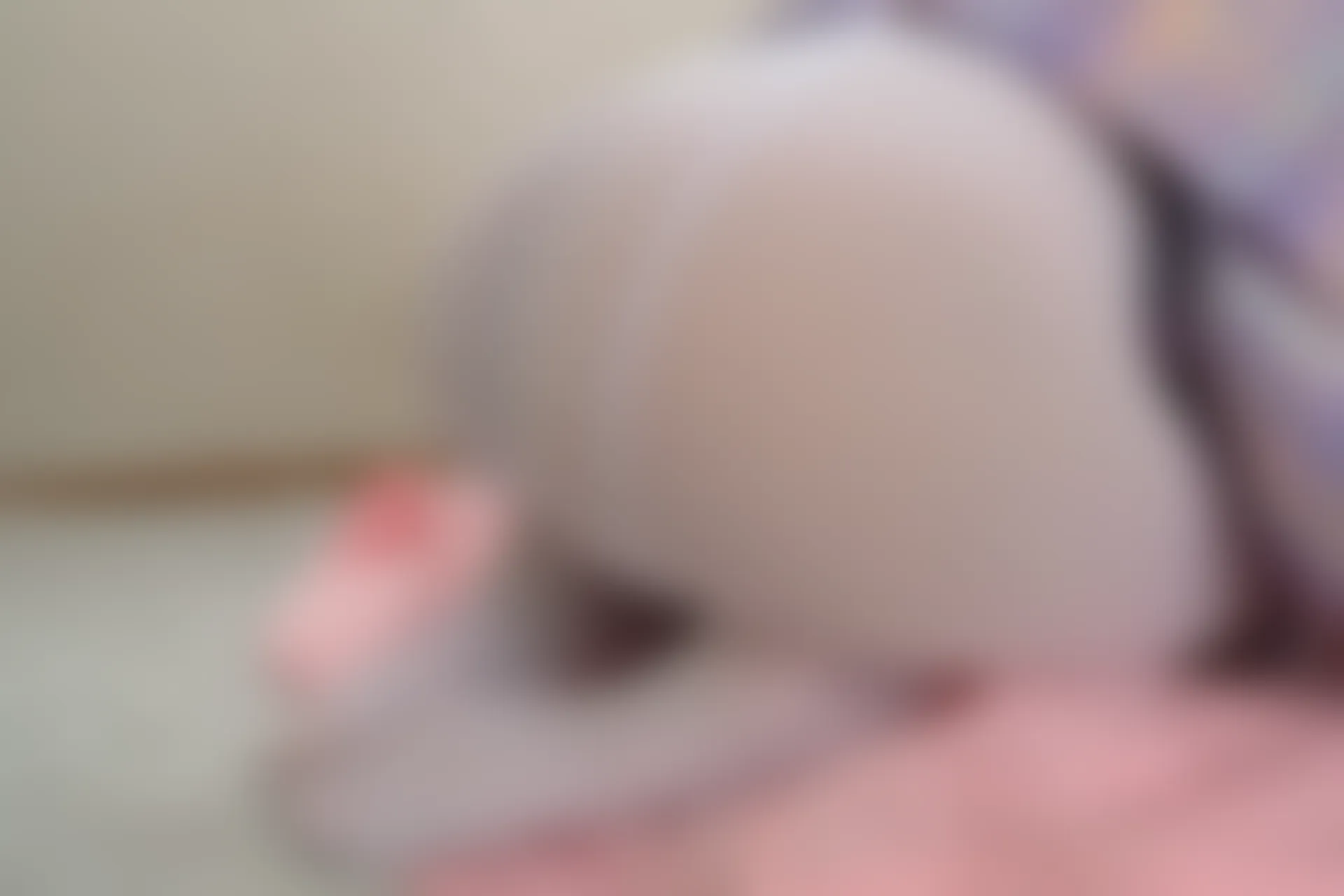 森萝财团 内部VIP系列 雏菊-01 双马尾白丝JK制服 [124P1V-4.78GB]