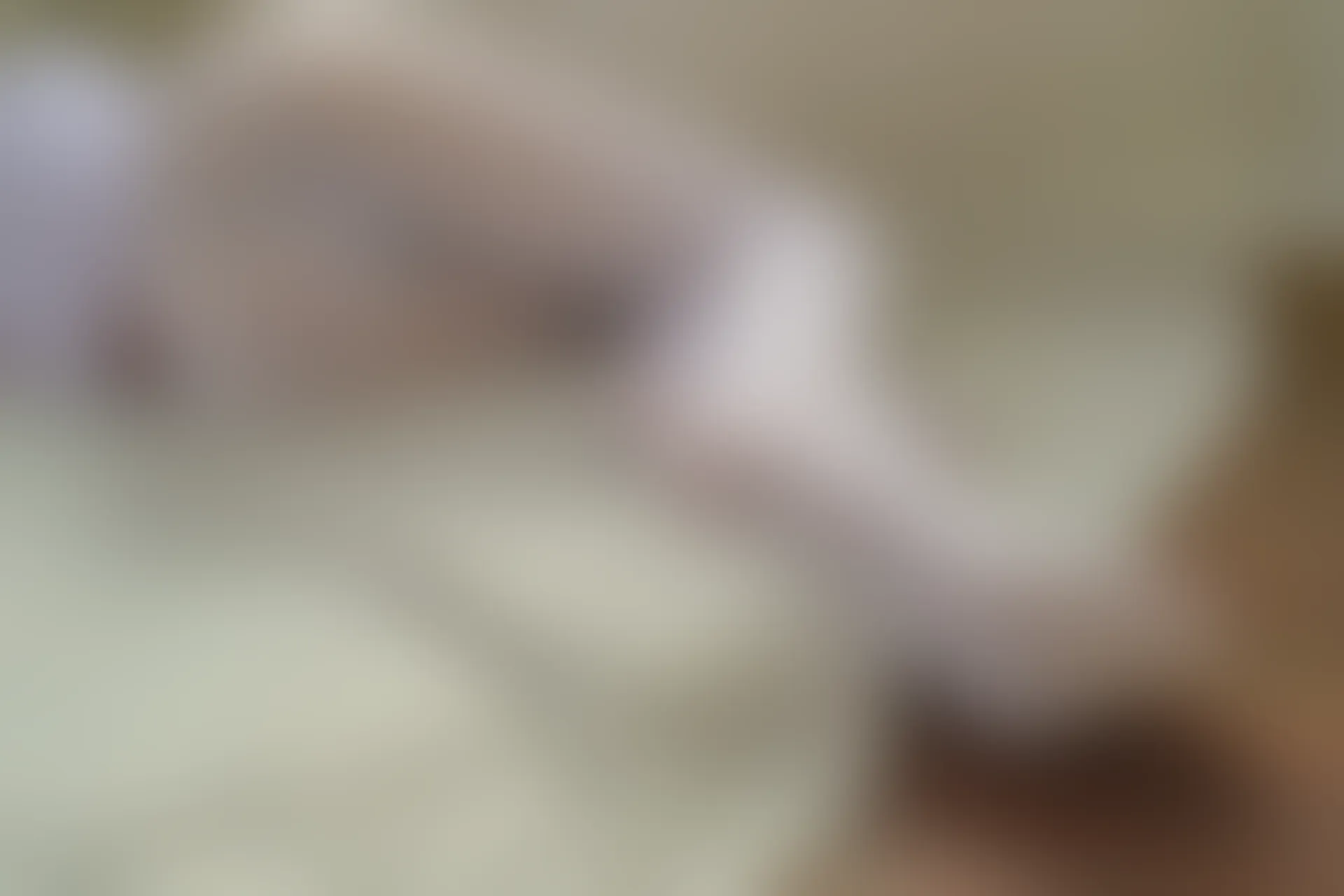 森萝财团 内部VIP系列 雏菊-01 双马尾白丝JK制服 [124P1V-4.78GB]