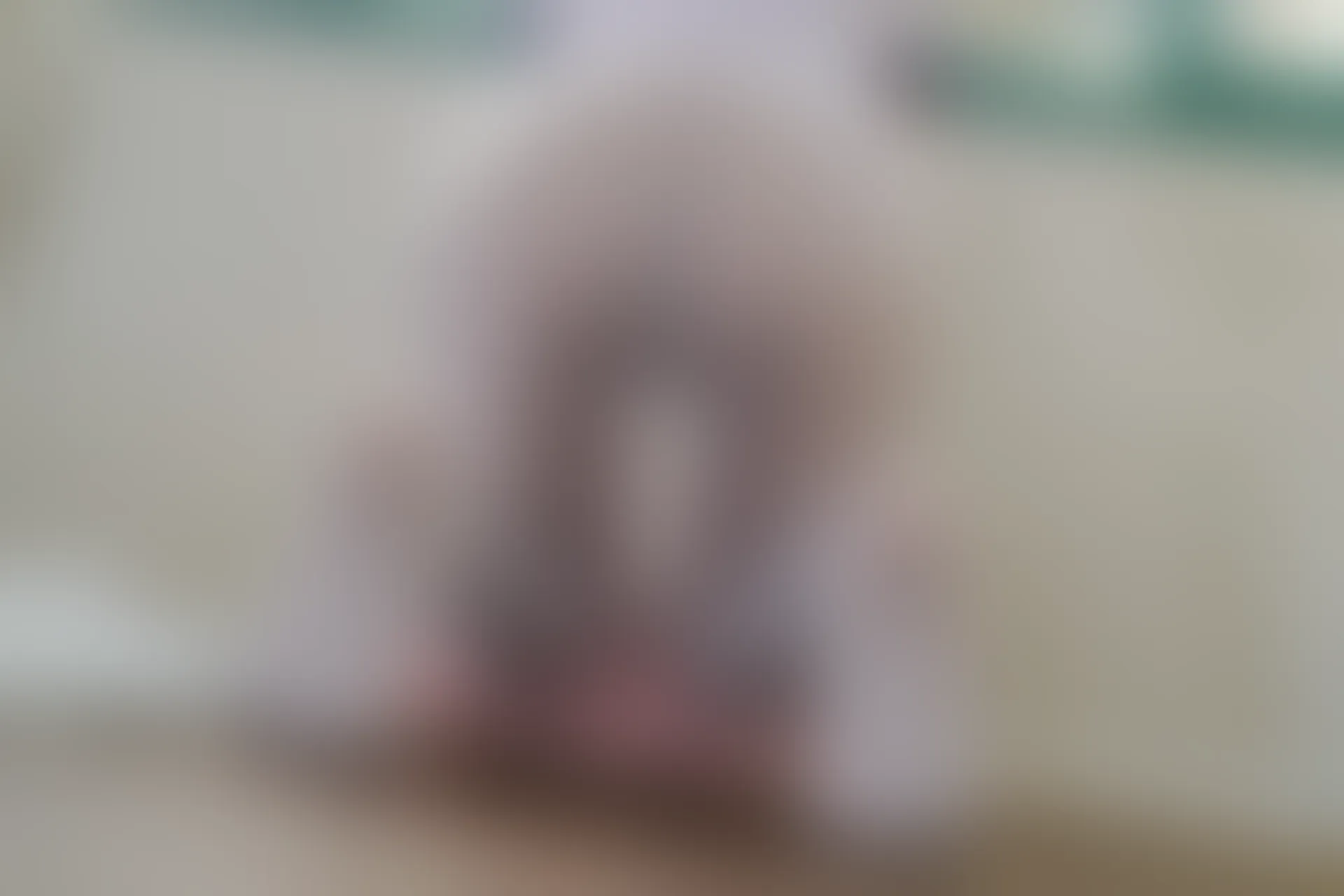 森萝财团 内部VIP系列 雏菊-01 双马尾白丝JK制服 [124P1V-4.78GB]