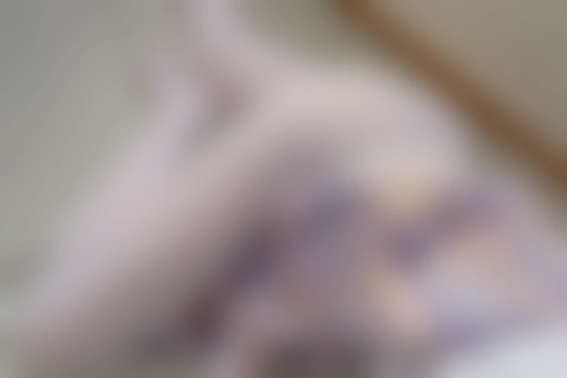 森萝财团 内部VIP系列 雏菊-01 双马尾白丝JK制服 [124P1V-4.78GB]