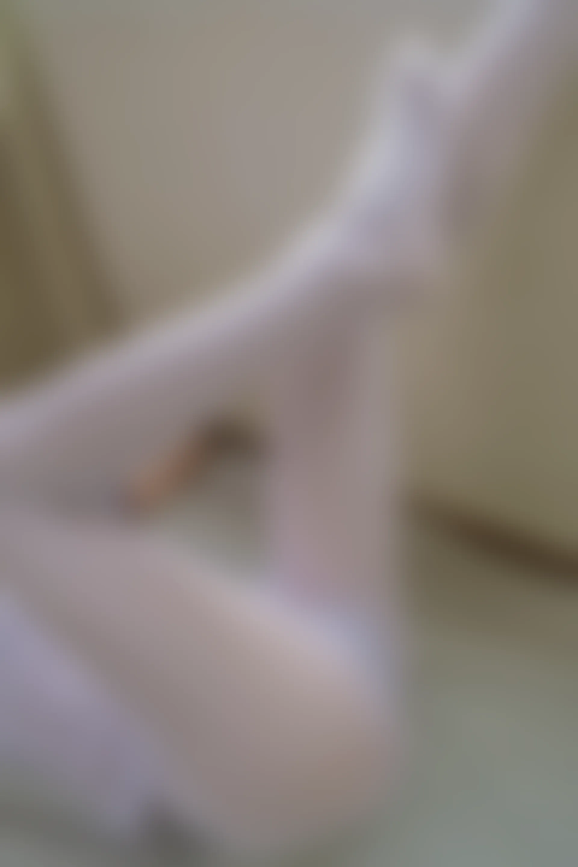 森萝财团 内部VIP系列 雏菊-01 双马尾白丝JK制服 [124P1V-4.78GB]