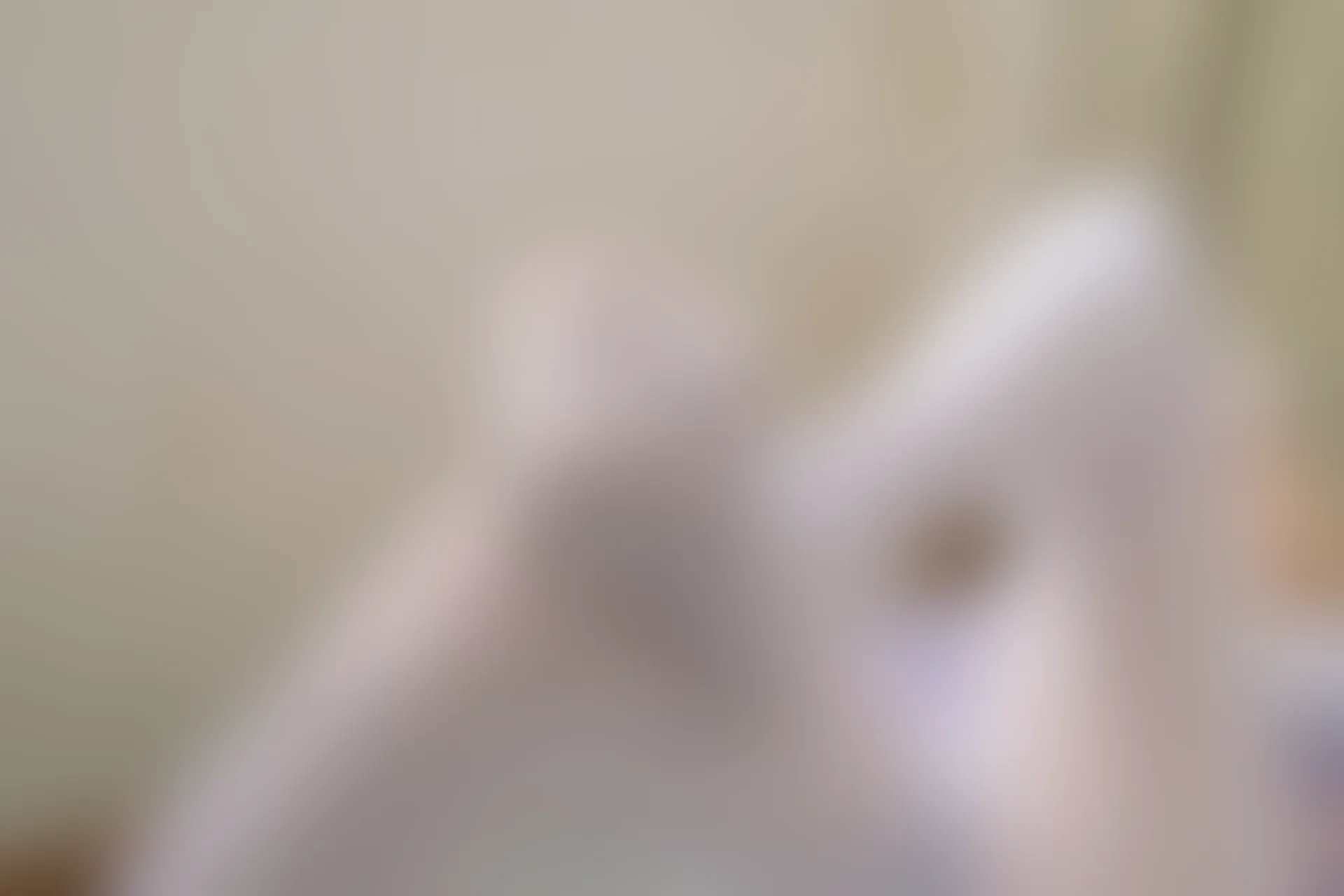 森萝财团 内部VIP系列 雏菊-01 双马尾白丝JK制服 [124P1V-4.78GB]