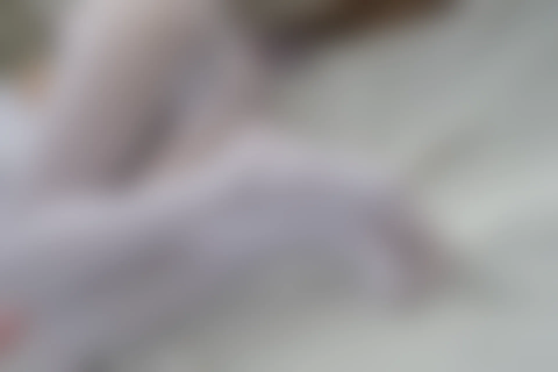 森萝财团 内部VIP系列 雏菊-01 双马尾白丝JK制服 [124P1V-4.78GB]