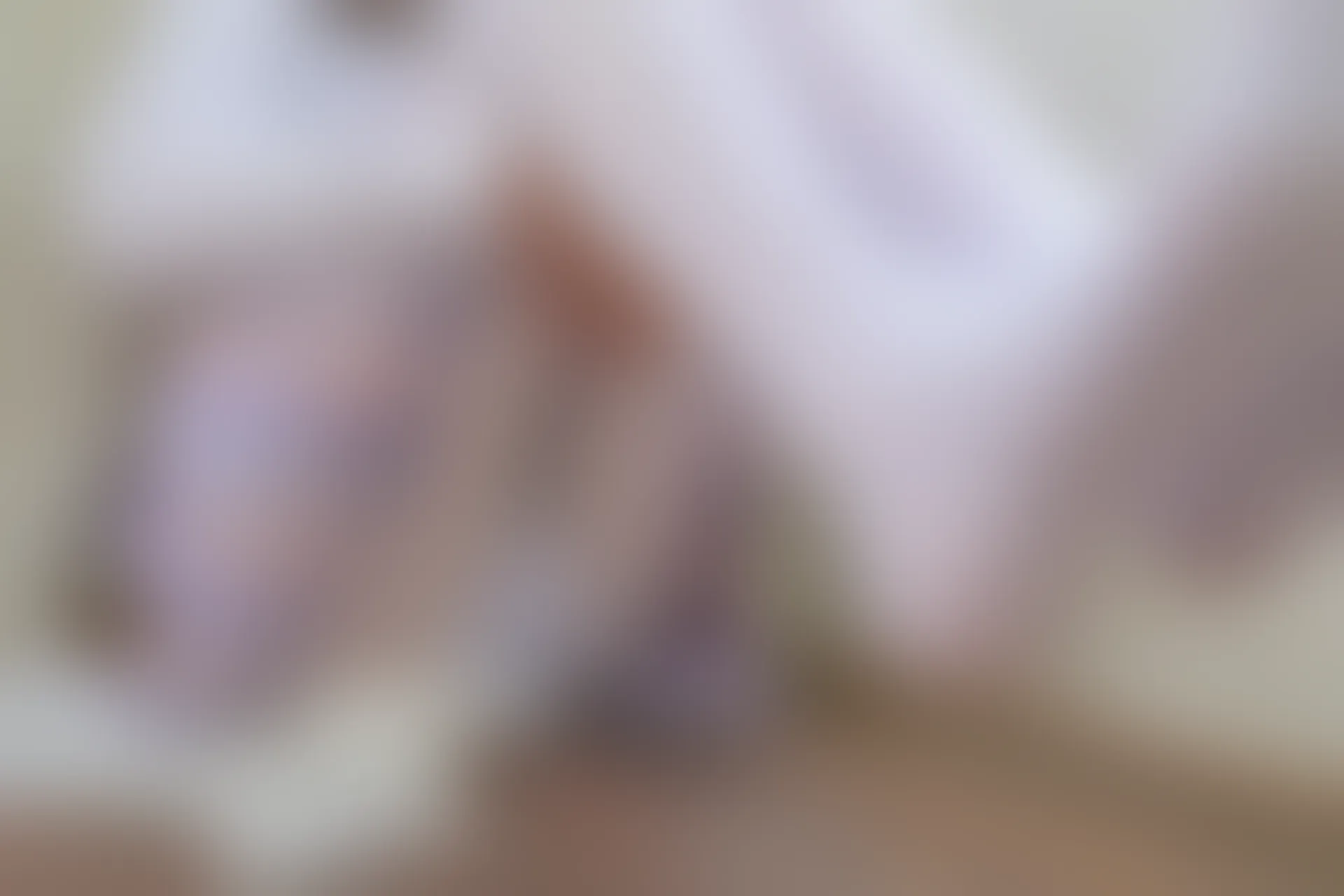 森萝财团 内部VIP系列 雏菊-01 双马尾白丝JK制服 [124P1V-4.78GB]