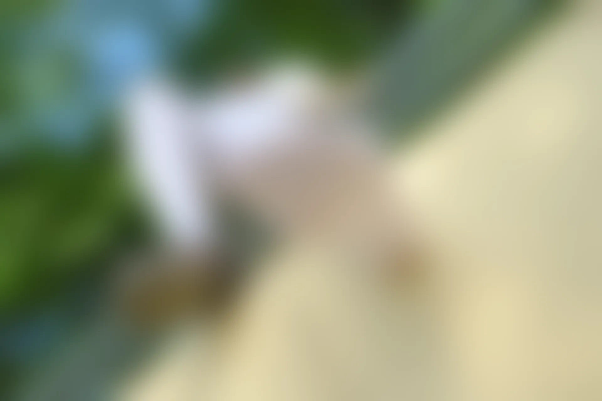 森萝财团 有料-40 小香 80D 白丝JK制服外景 [95P-1.1G]JK, JK制服, 制服, 小香, 有料, 森萝财团, 白丝, 美腿, 美足