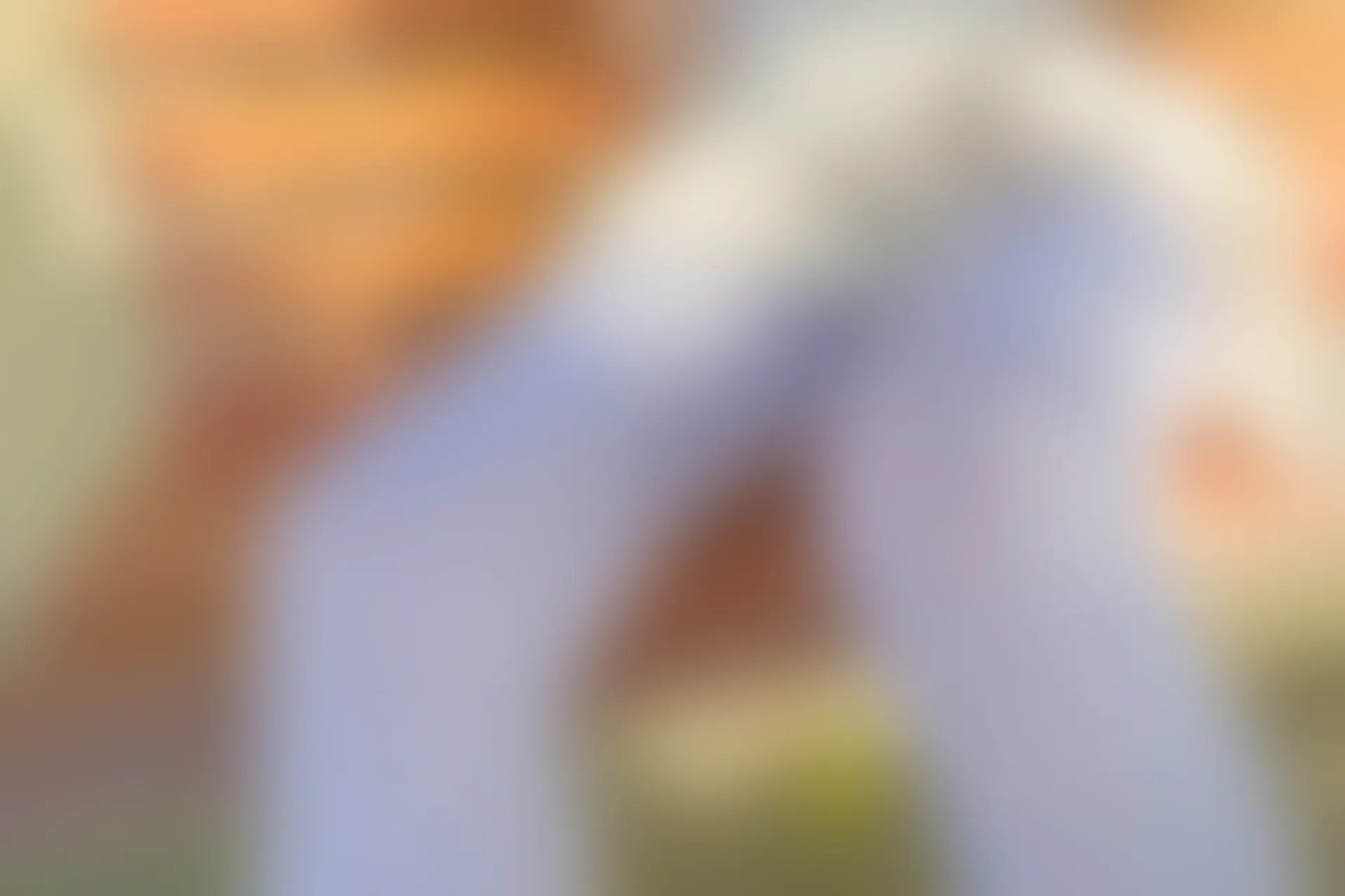 森萝财团 有料-40 小香 80D 白丝JK制服外景 [95P-1.1G]JK, JK制服, 制服, 小香, 有料, 森萝财团, 白丝, 美腿, 美足