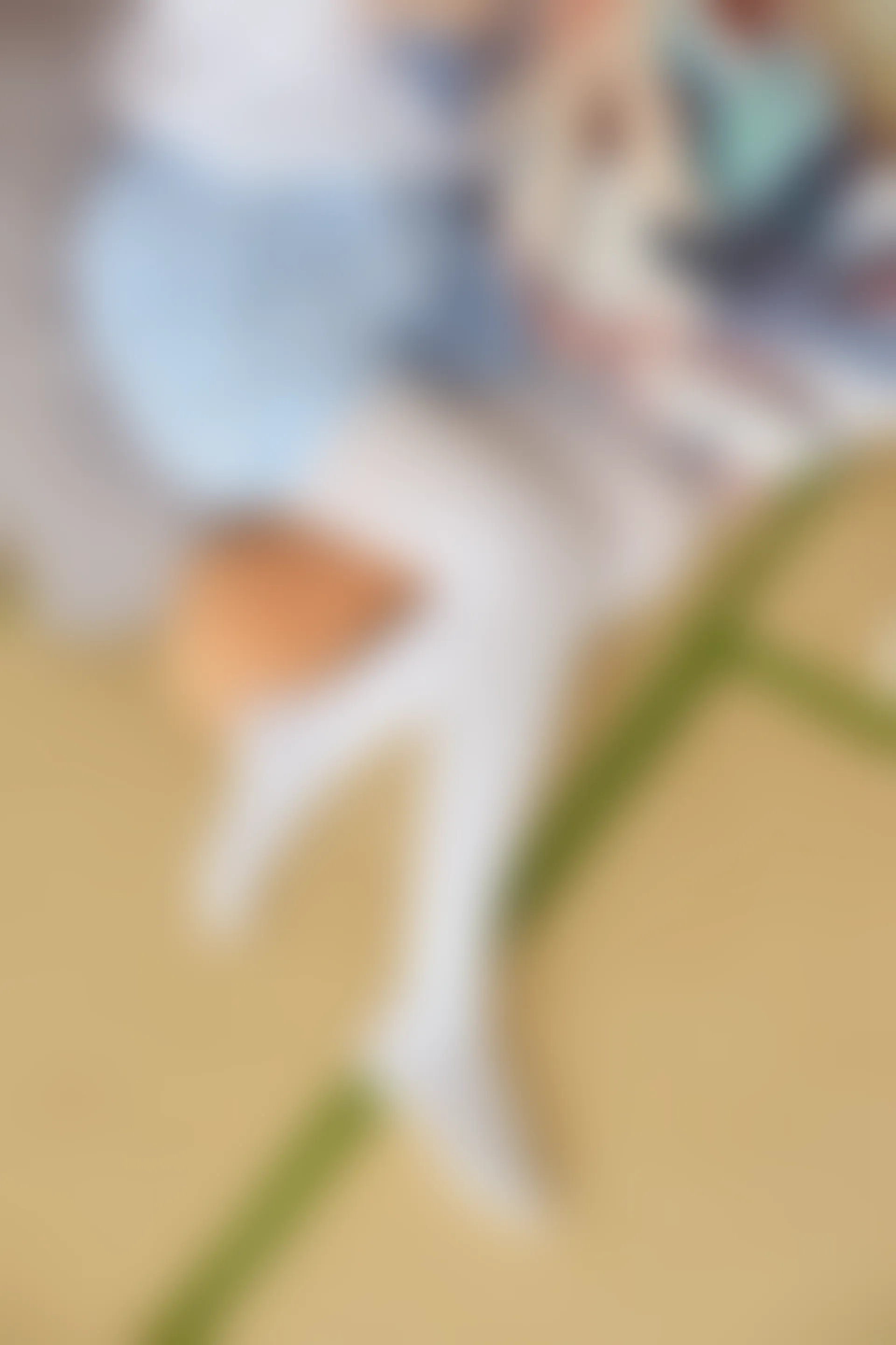 森萝财团 FREE-006 [49P-282M]校服, 森萝财团, 白丝, 黑丝