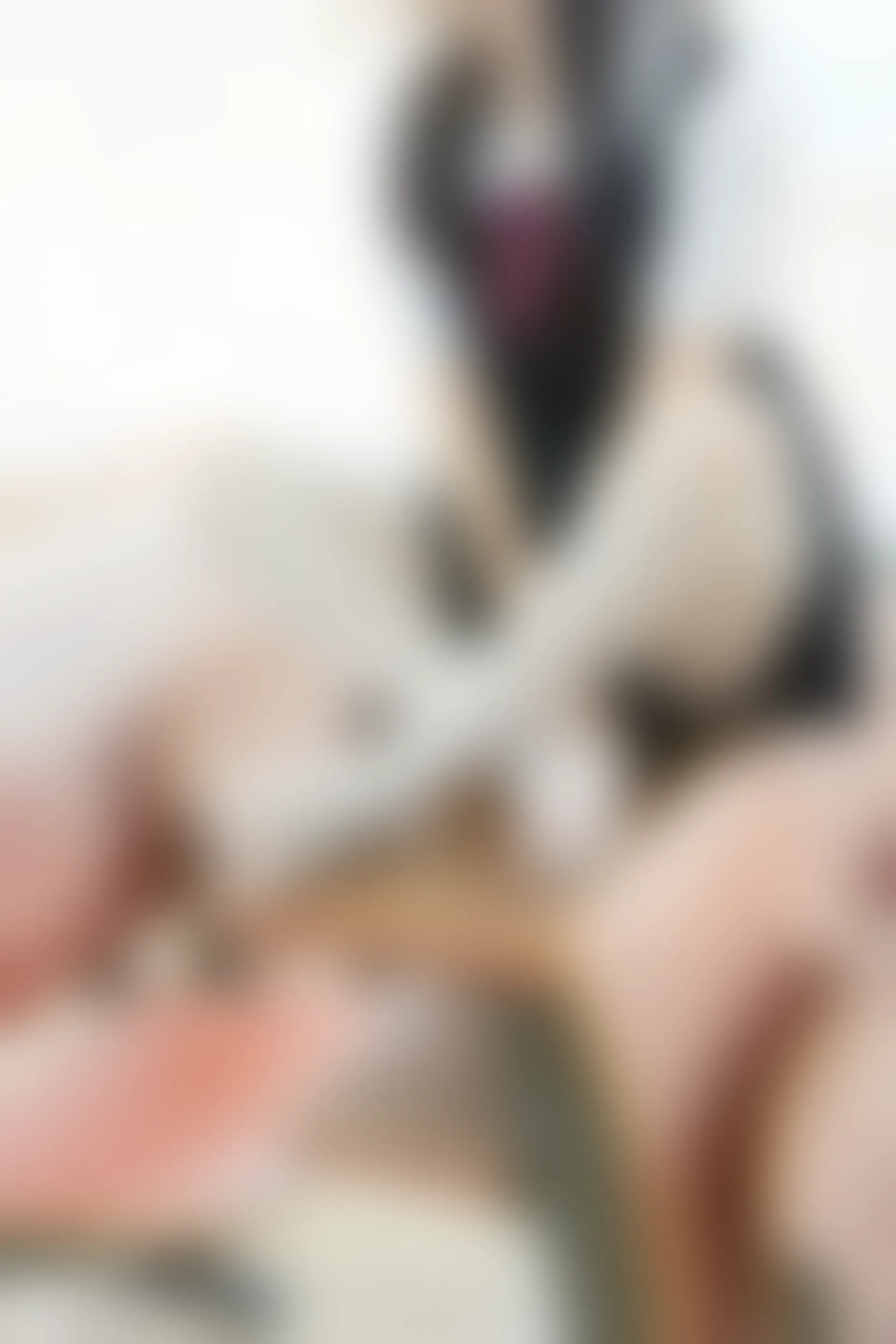 C24.006 蕾丝袜 [40P-331MB]