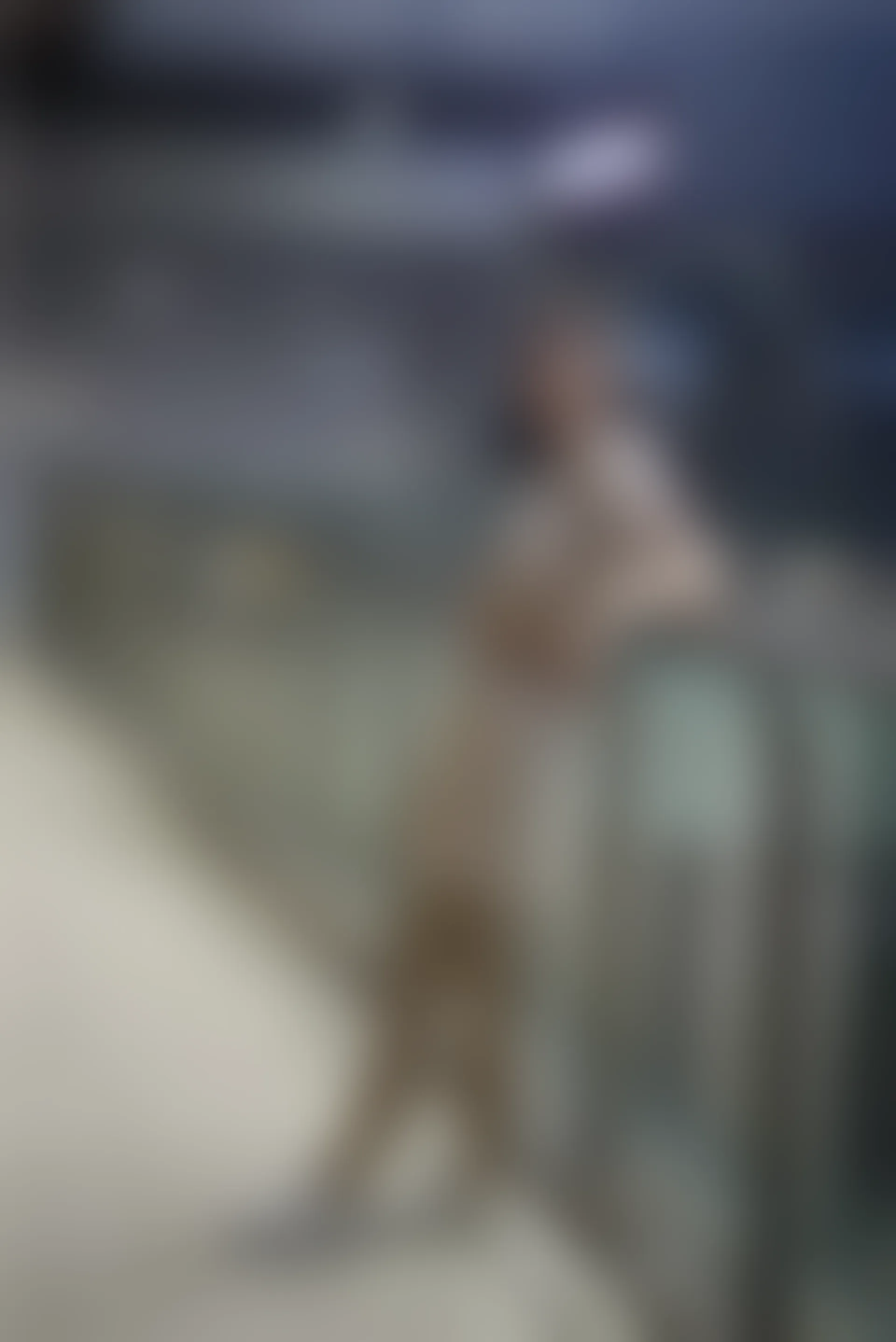 初夏女神 NO.075 大发 时尚短裤套装[130P+1V／6.82GB]