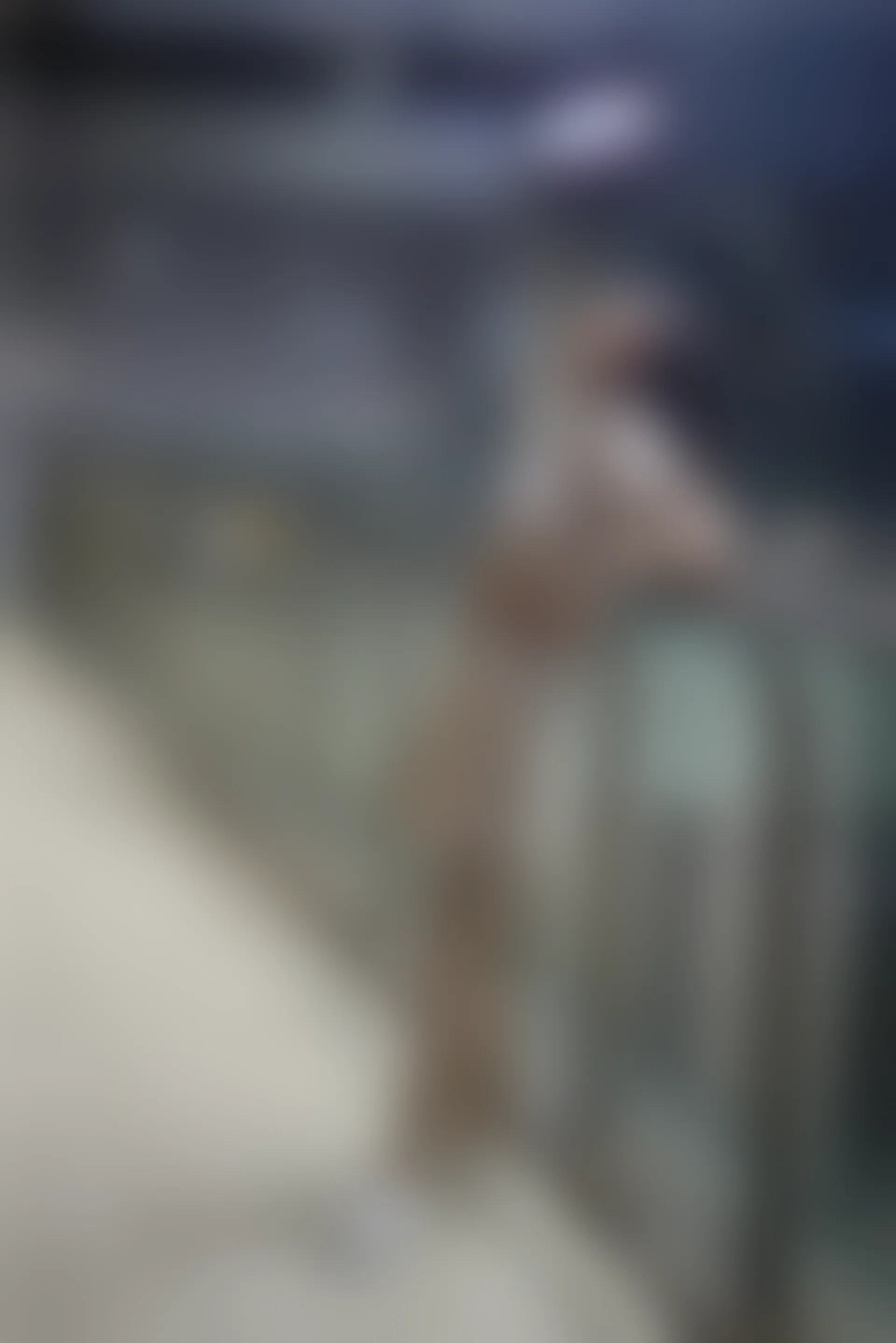 初夏女神 NO.075 大发 时尚短裤套装[130P+1V／6.82GB]