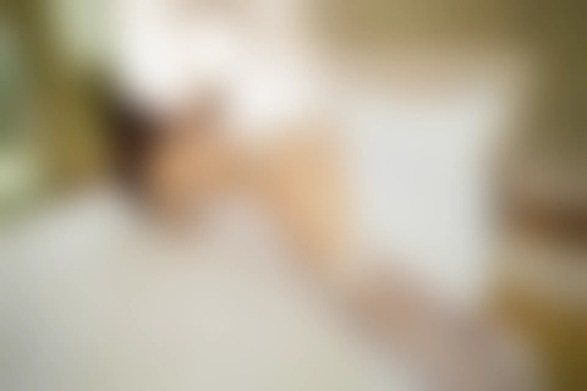 XiuRen秀人网 2015.01.30 No.289 沫晓伊baby [50P207MB]