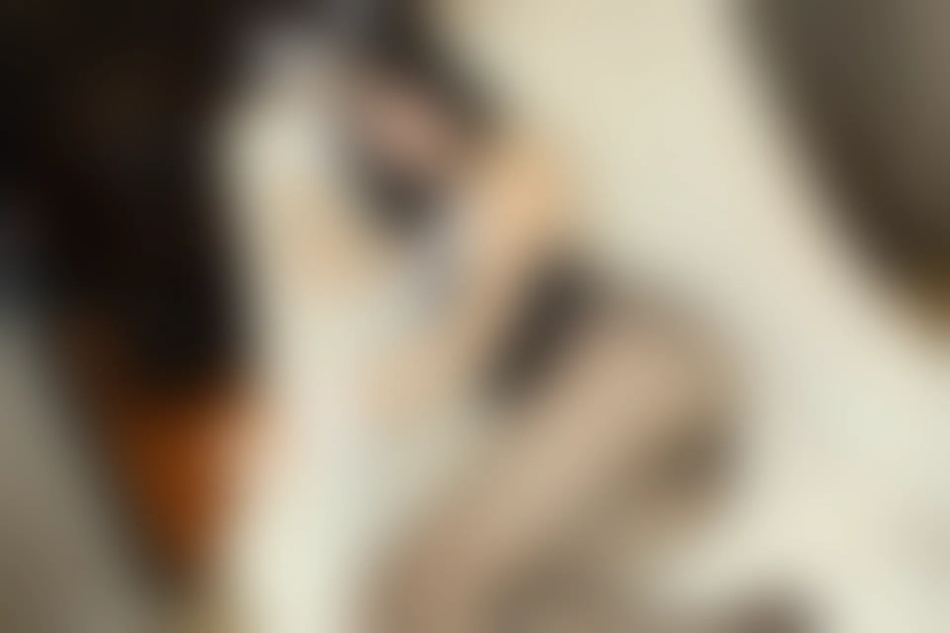 XiuRen秀人网 2015.01.27 No.284 丽萍Apple [57P257MB]