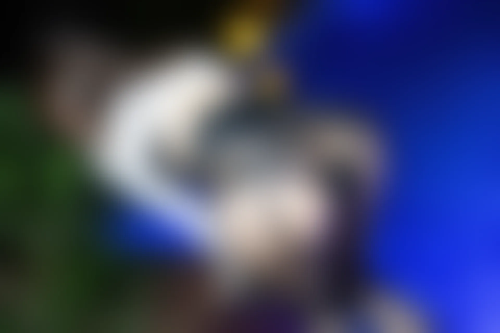 XiuRen秀人网 2022.02.16 No.4593 绮里嘉ula 黑丝美腿[68+1P 751MB]