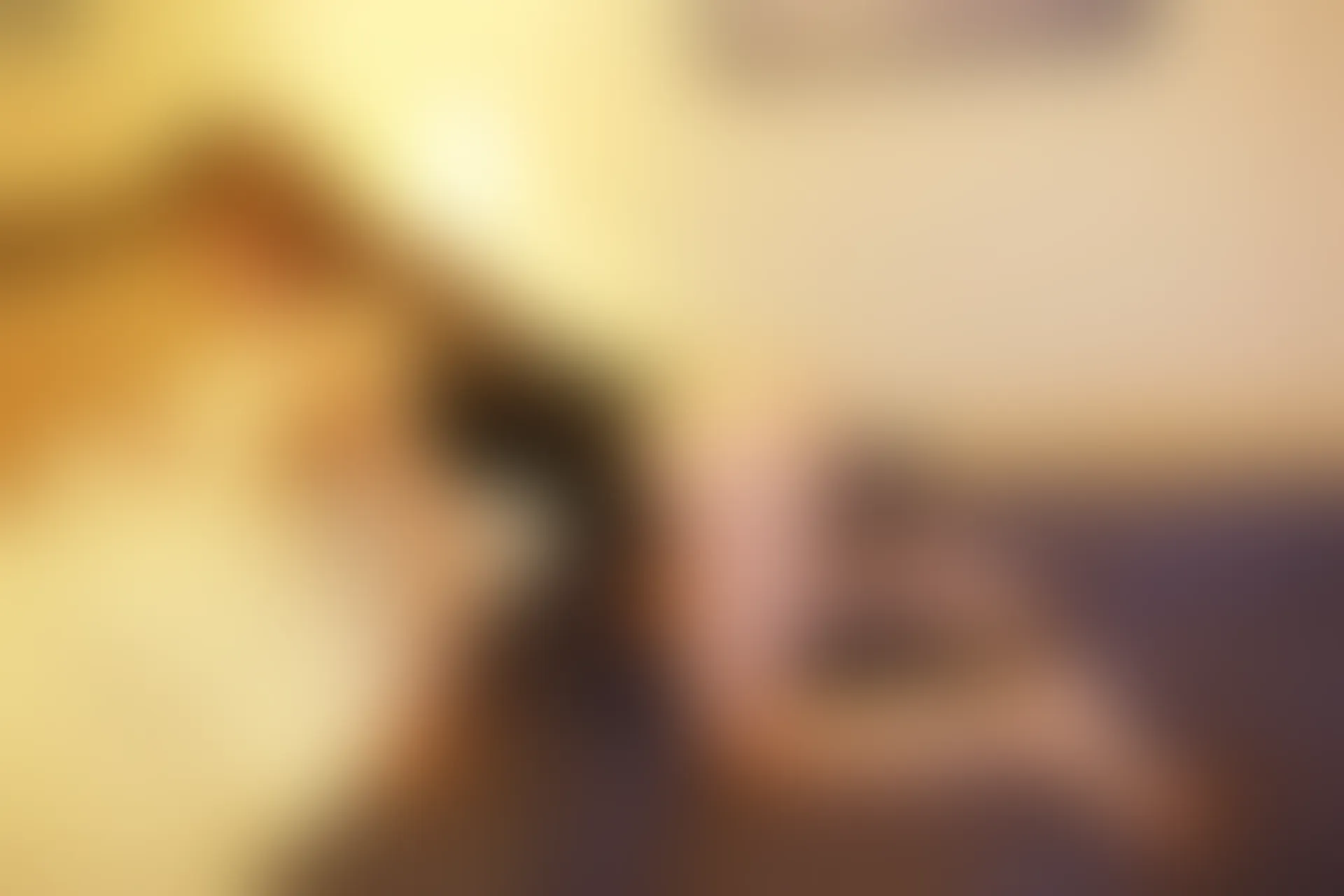 XiuRen秀人网 2014.05.17 No.136 模特合集[110+1P216M]