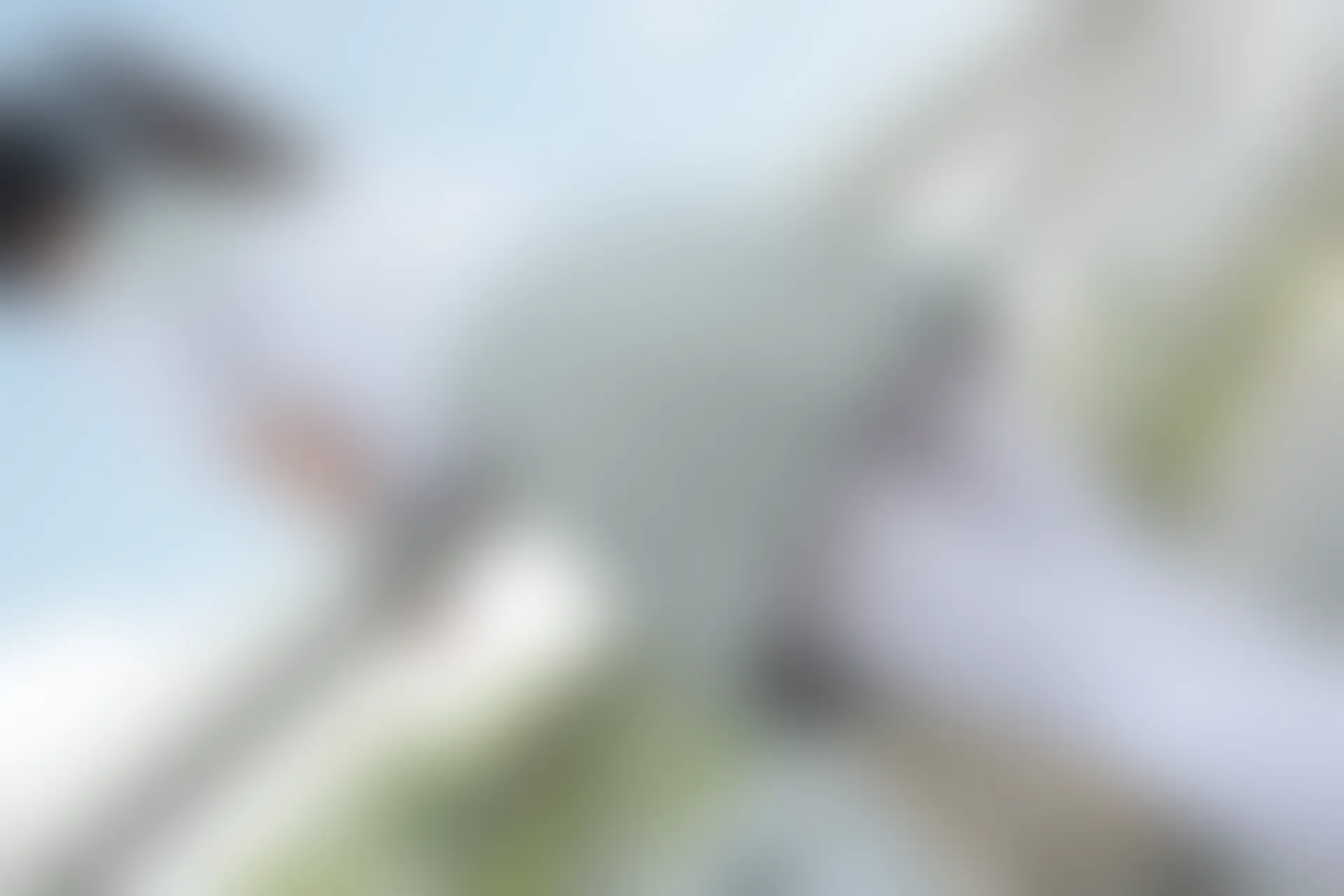 森萝财团 R15-026 [79P-407M]可爱, 学生装, 森萝财团, 白丝, 美腿