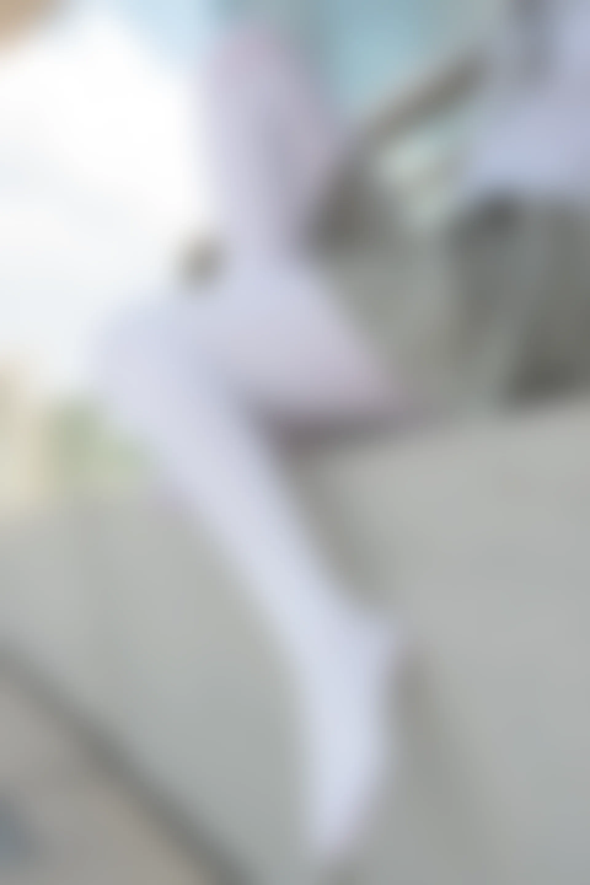 森萝财团 R15-026 [79P-407M]可爱, 学生装, 森萝财团, 白丝, 美腿