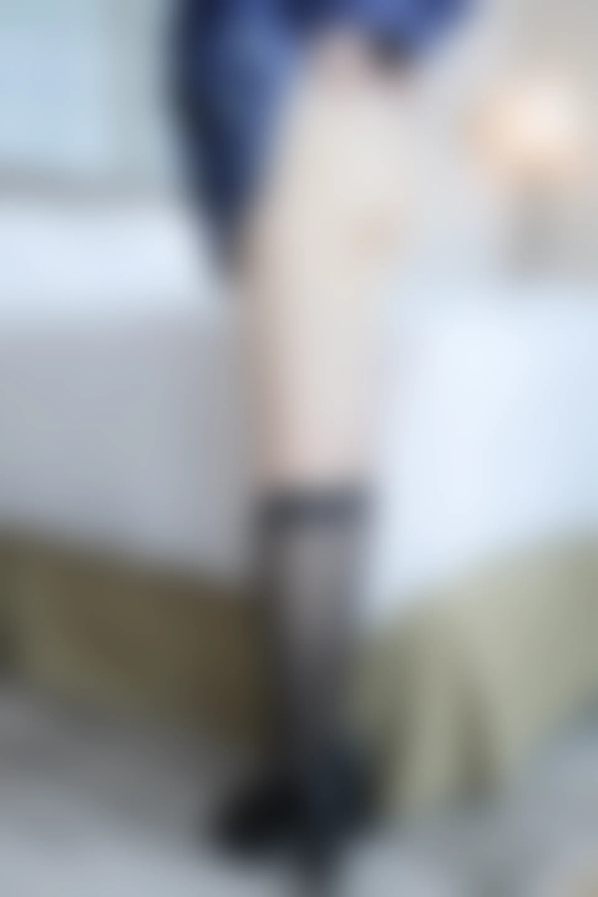 XIUREN秀人网 2023.12.01 NO.7754 豆瓣酱[92+1P／819MB]
