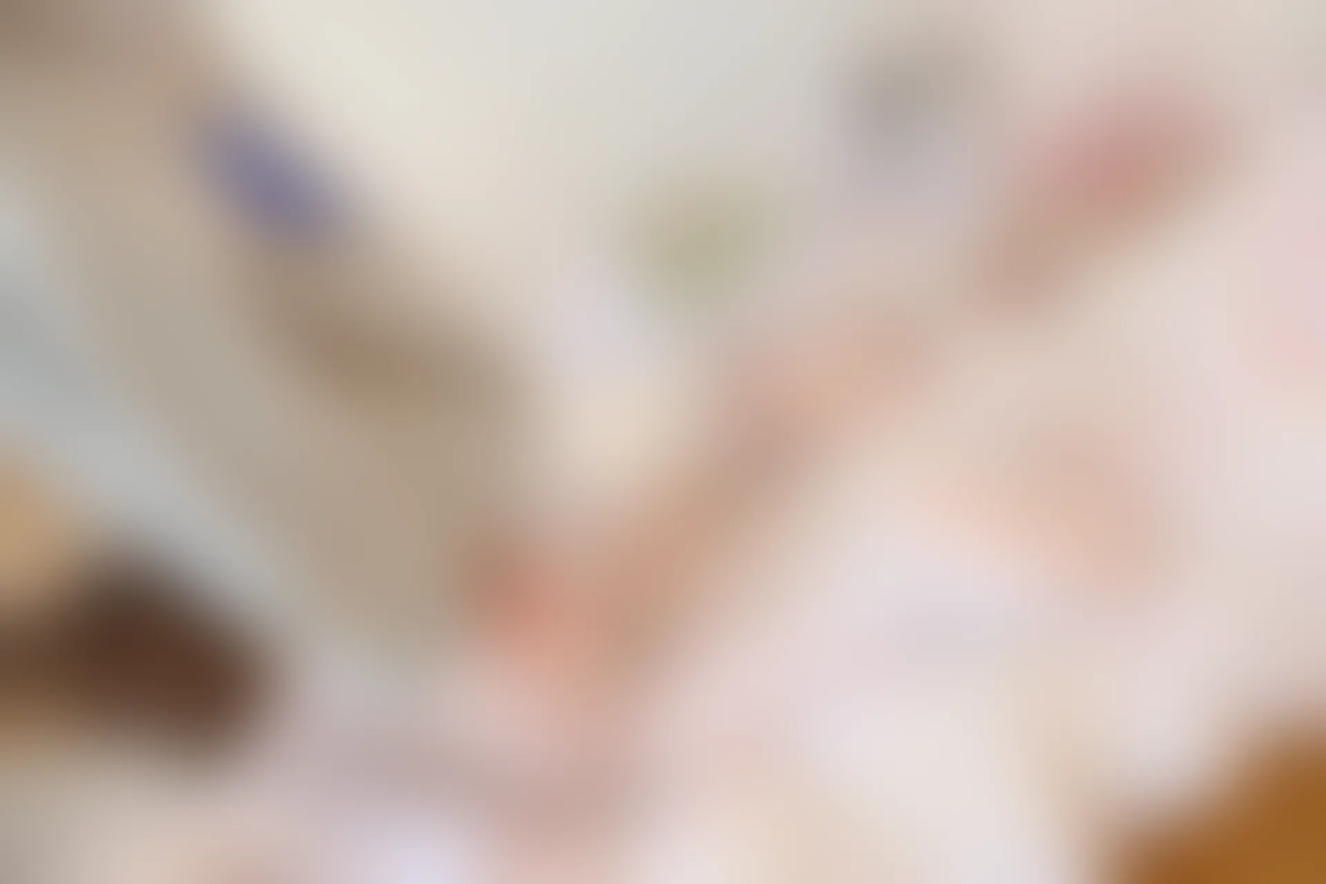 森萝财团 X-003 [149P1V-1.86G]白丝, 美腿